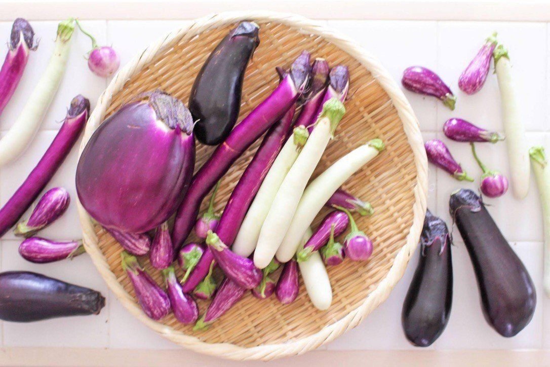 私が「なす推しさん」でNHKあさイチに出演したわけ｜松本純子 | 日本の食