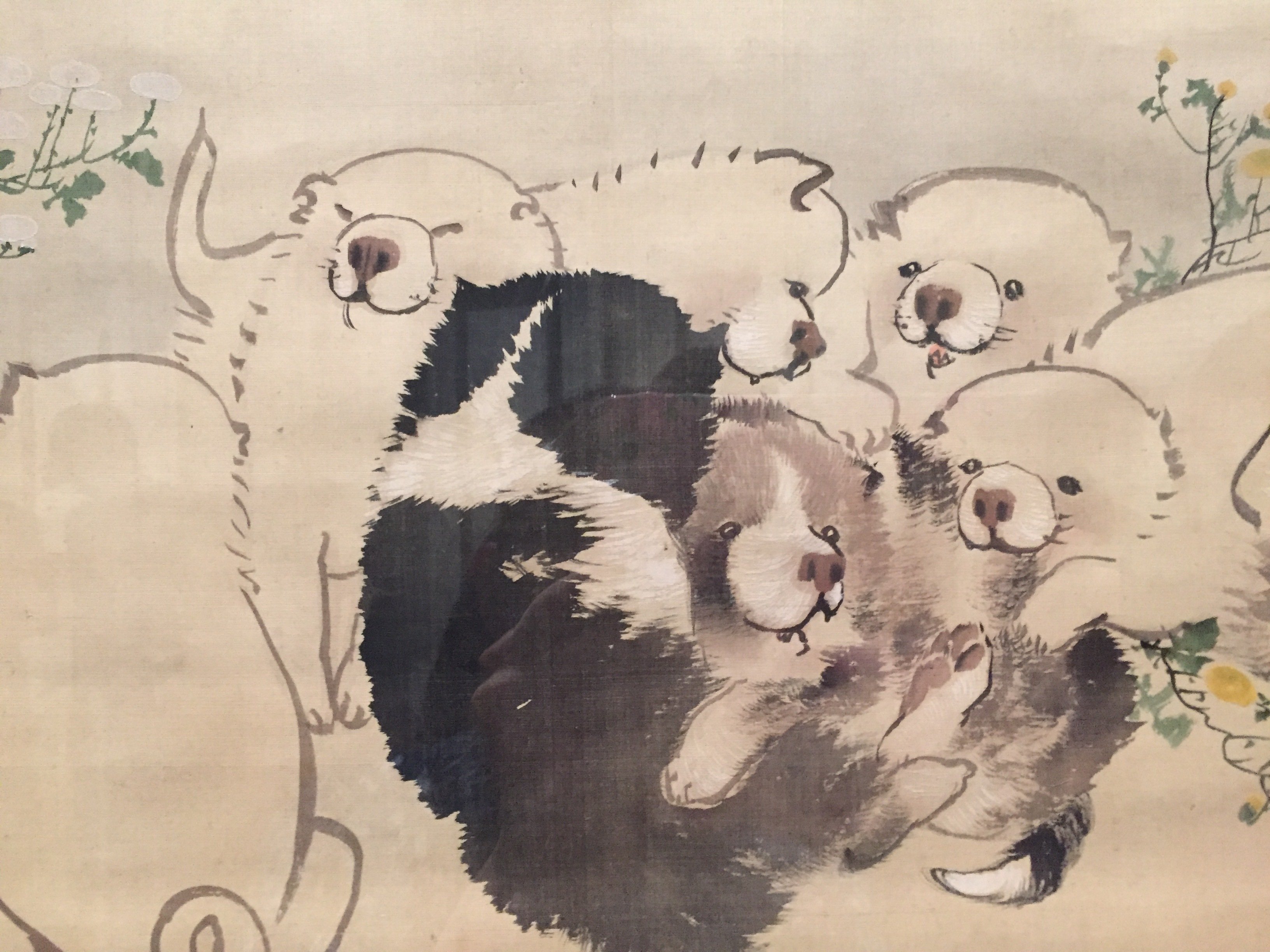 犬派？ 猫派？｜popo