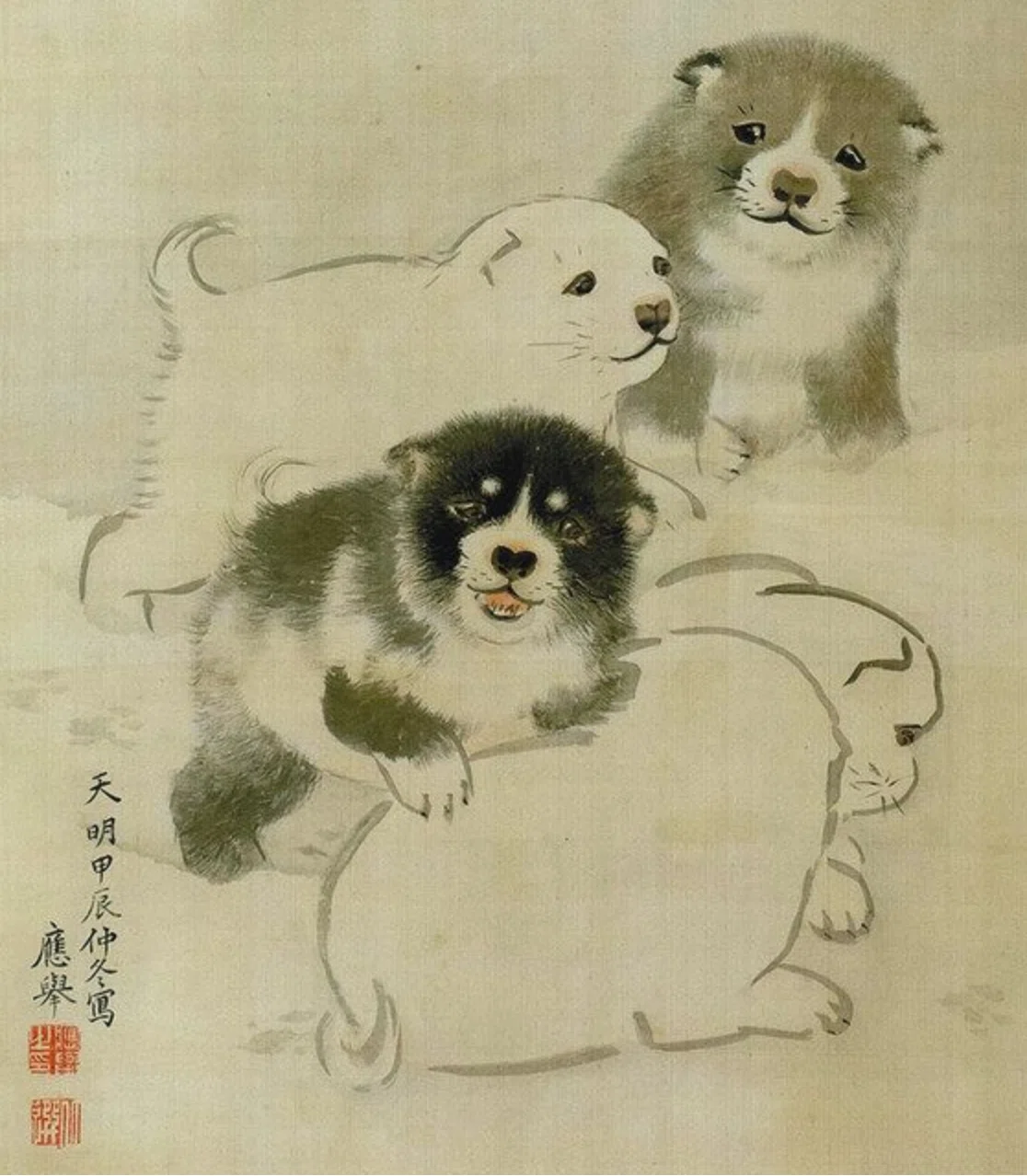 犬派？ 猫派？｜popo