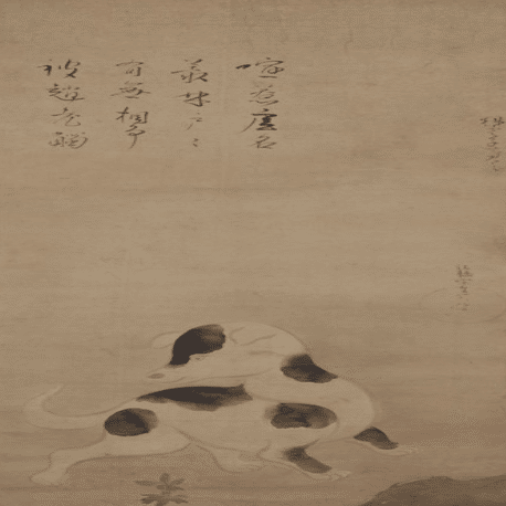 犬派？ 猫派？｜popo