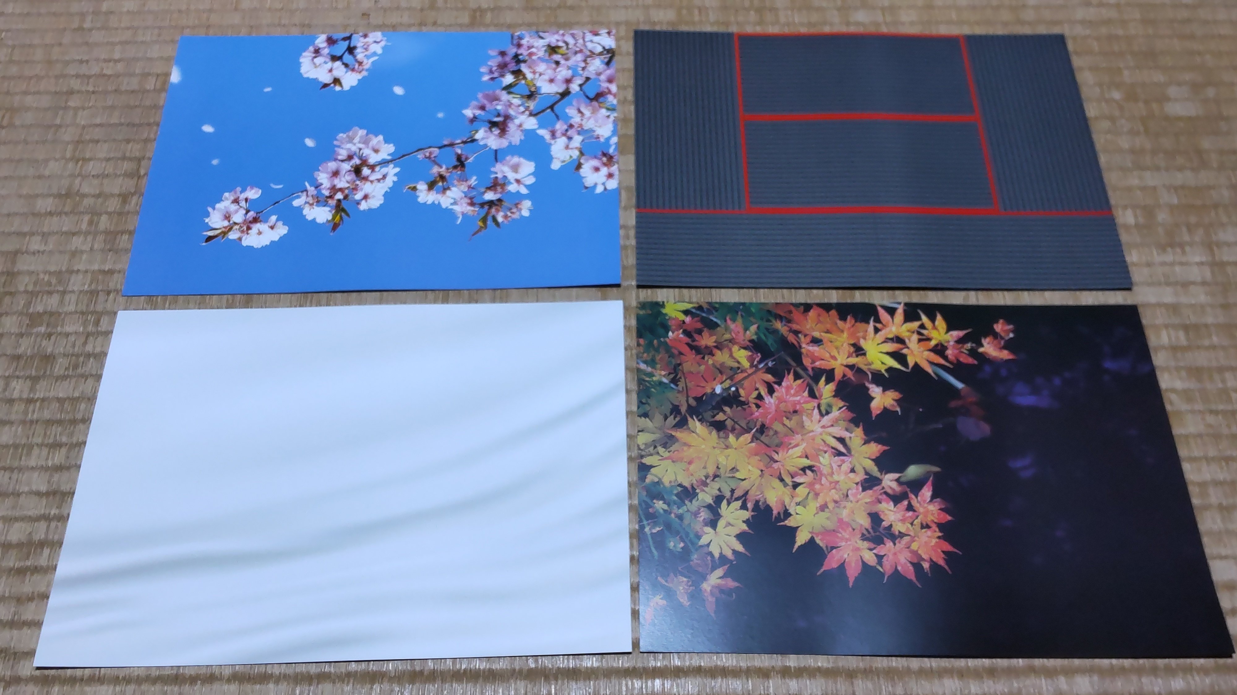 フォトジェニックシート｜猫の手