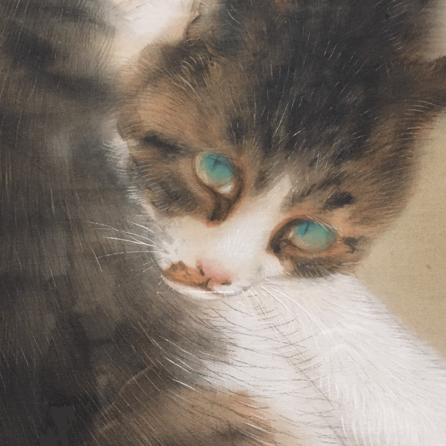 犬派？ 猫派？｜popo