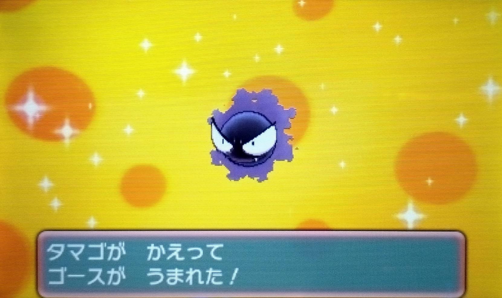ポケモン Y ビビヨン全模様コンプリート 韓国 セジュンの