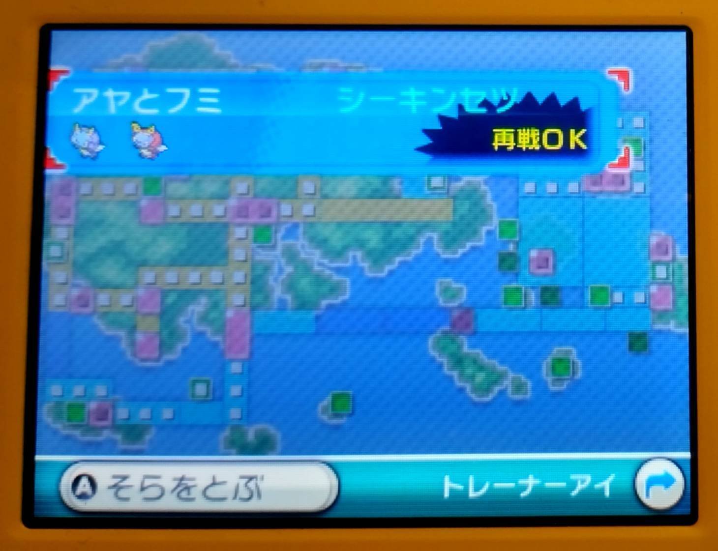 ポケットモンスター X ビビヨン全模様コンプリート 韓国 セジュンのパチリス94 ポケットモンスター X ビビヨン全模様コンプリート 韓国