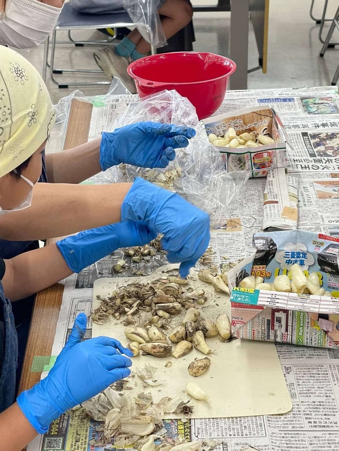 【専用】新鮮 らっきょう 20kg 鳥取 に次ぐ生産量234 生産量日本一 旬の「鳥取県産らっきょう」を味わう特別メニュー