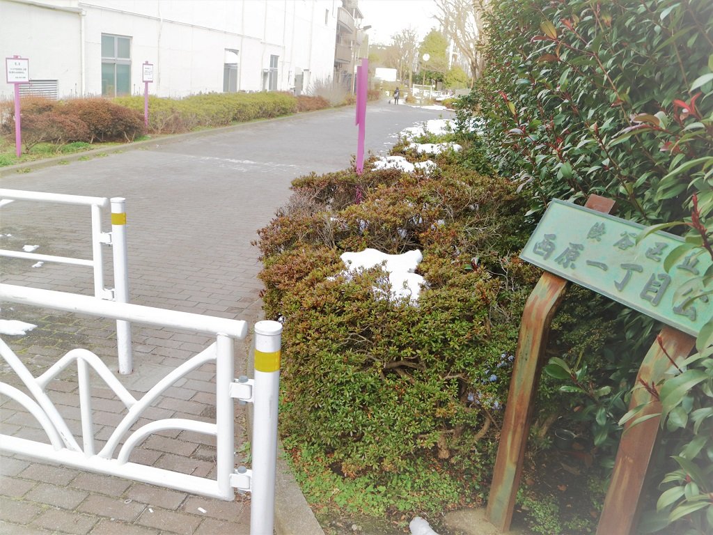 ササハタハツ散歩 No.2 京王線の歴史を巡ってみた｜シブヤ散歩新聞