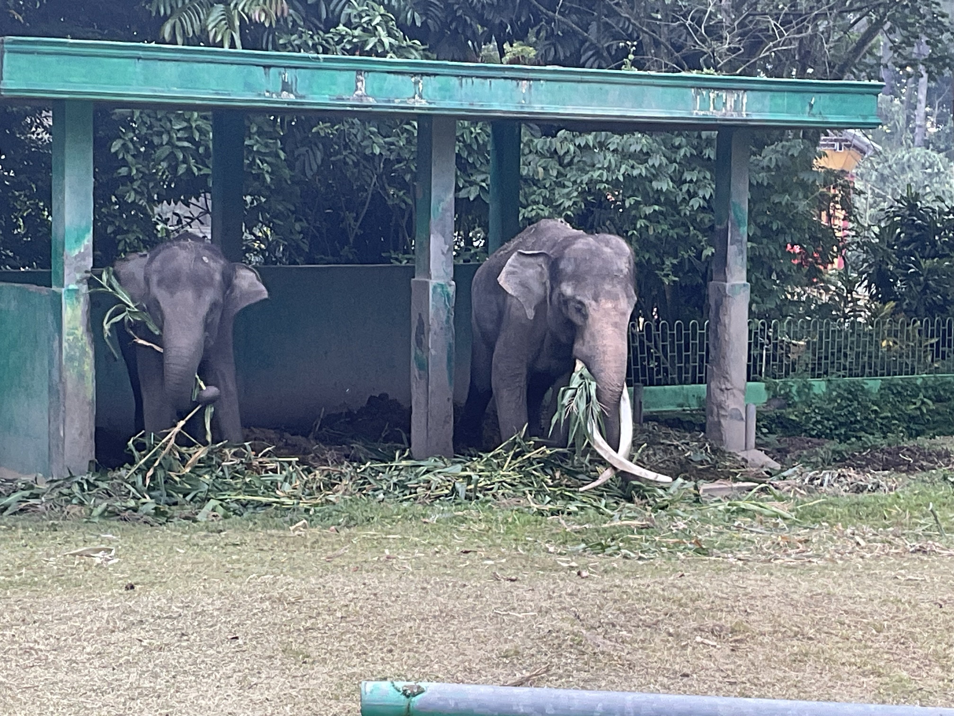 スマトラ島の温泉をめぐる旅 16日目 トバ湖からブキッティンギへバス