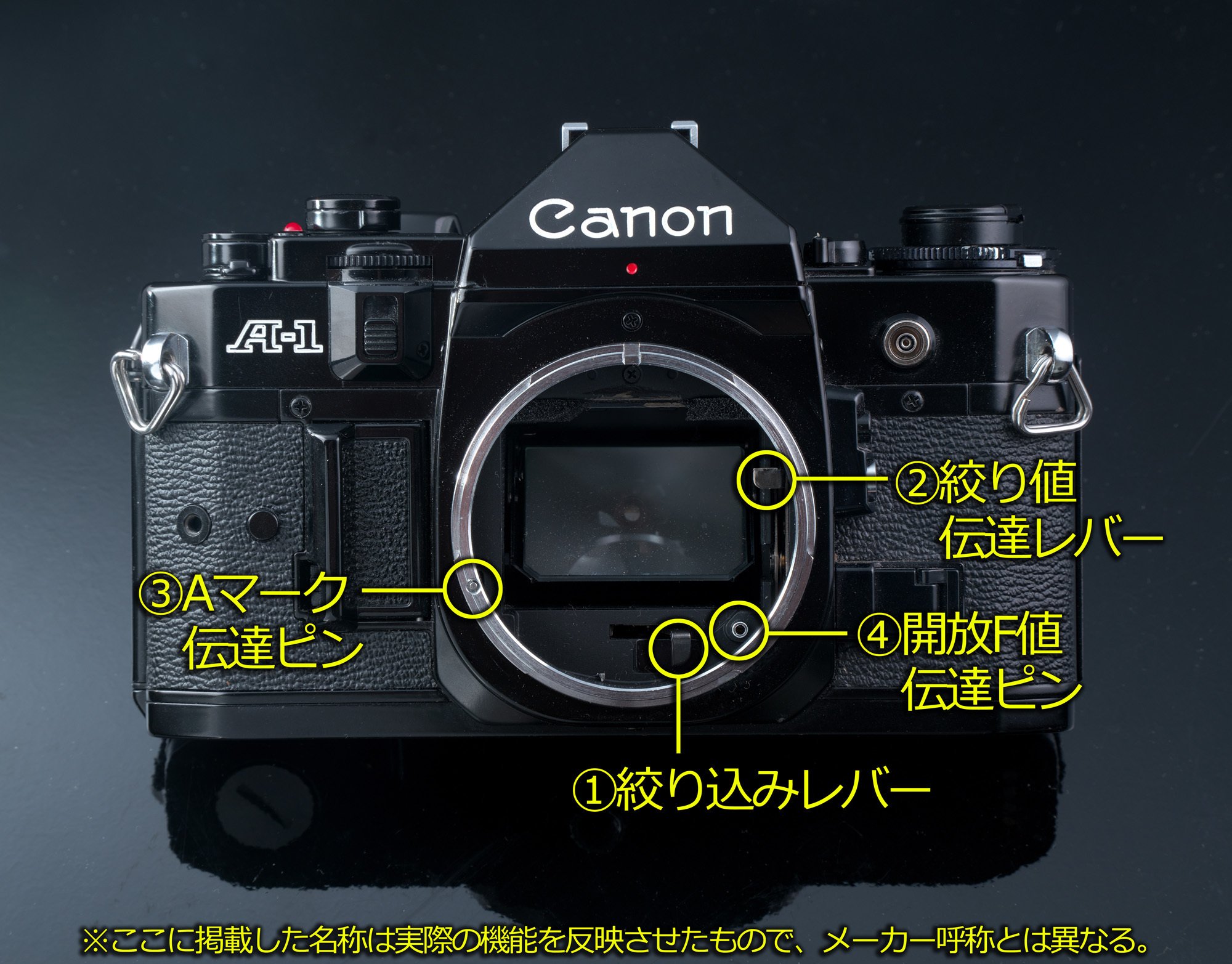 今、Canon A-1を振り返る|フユキ/西川冬旗 今、Canon A-1を振り返る|フユキ/西川冬旗
