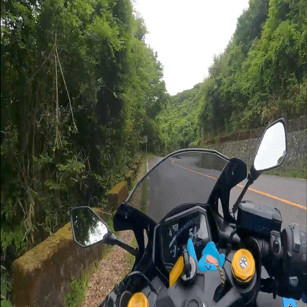 湯河原パークウェイ】zx-4r 2023年モデル kawasaki｜GACKT(FF外)