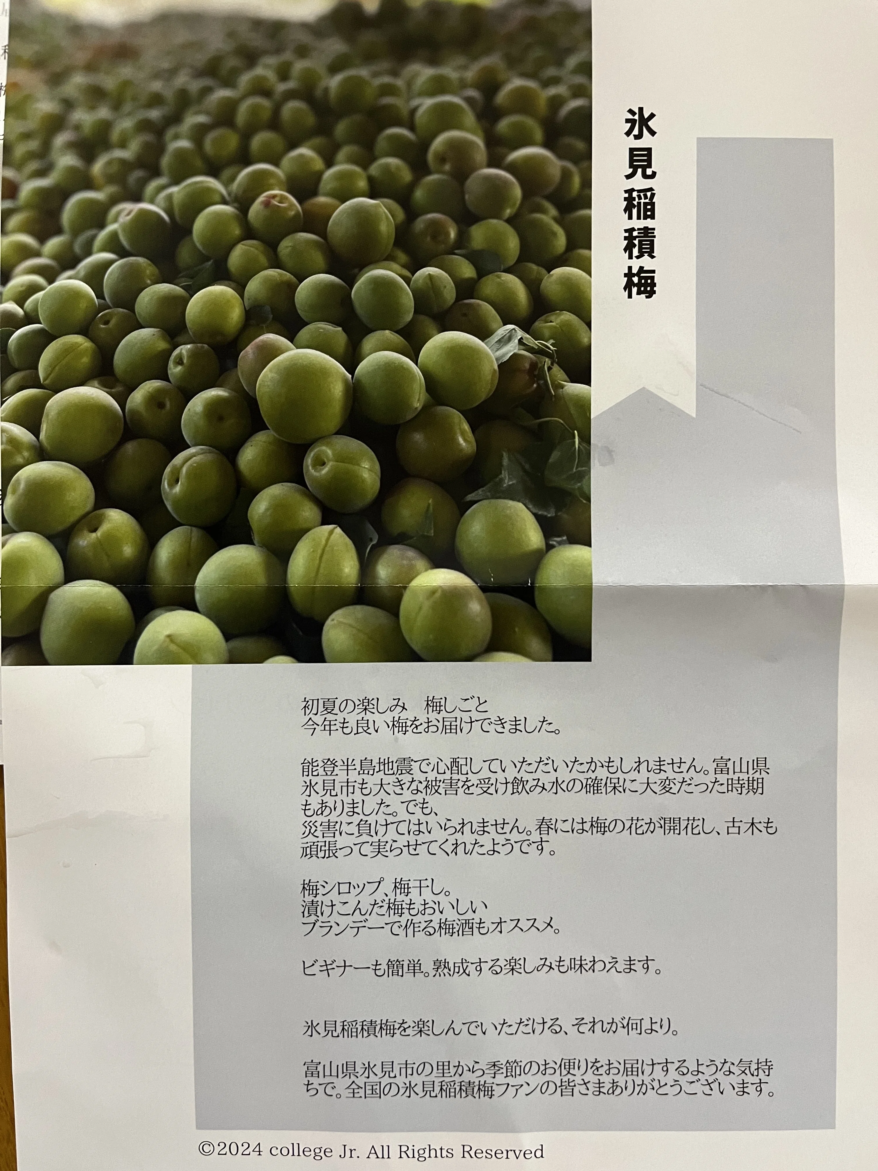 富山県産　健康稲積青梅　9kg＋秘伝レシピ 追熟させずに漬ける美しいまんまる希少梅、氷見市生まれの富山県指定