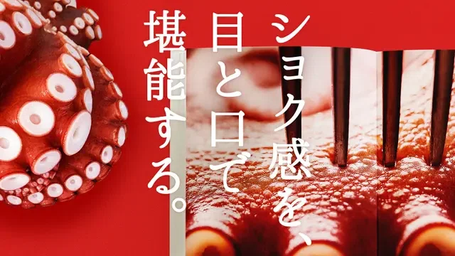 日本一のタコ、明石だこをモデルにした「グラビア写真集」が狂気だけど