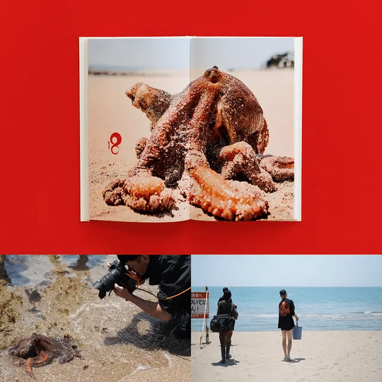 日本一のタコ、明石だこをモデルにした「グラビア写真集」が狂気だけど