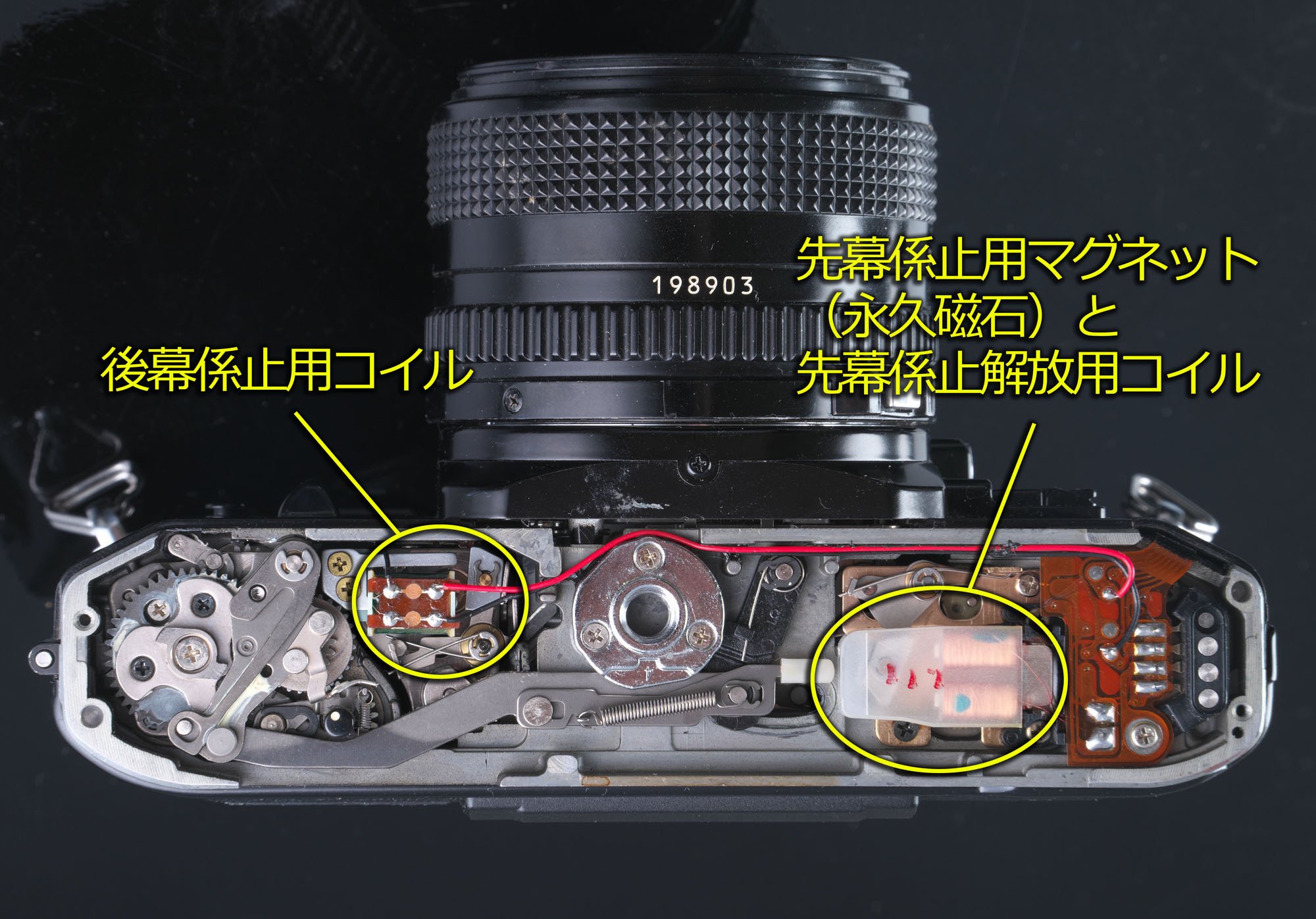 今、Canon A-1を振り返る|フユキ/西川冬旗 今、Canon A-1を振り返る|フユキ/西川冬旗