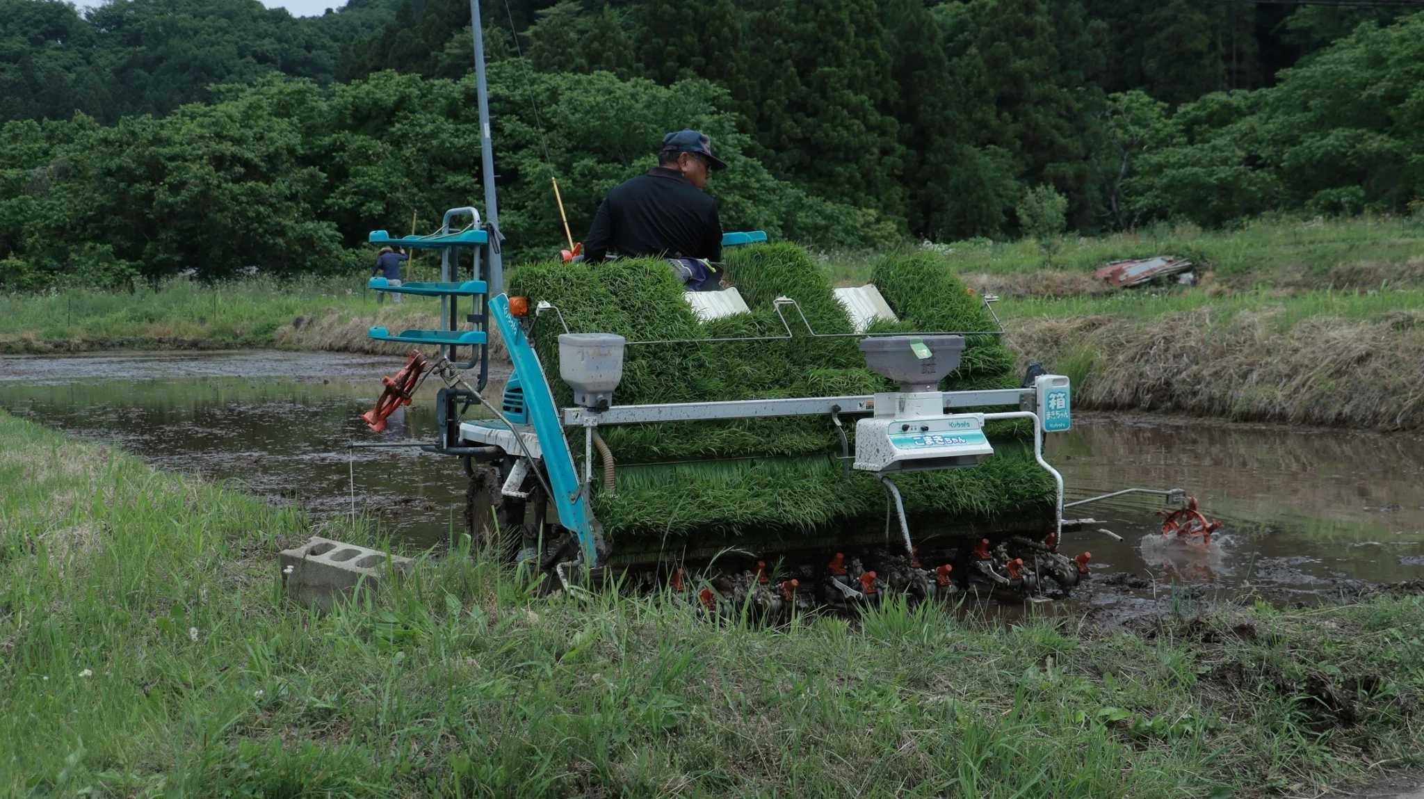 活動レポ】田植えを行いました！｜東北芸術工科大学企画構想学科田澤ゼミ