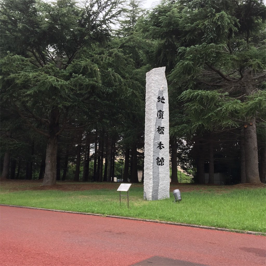 地質標本館｜やますみ