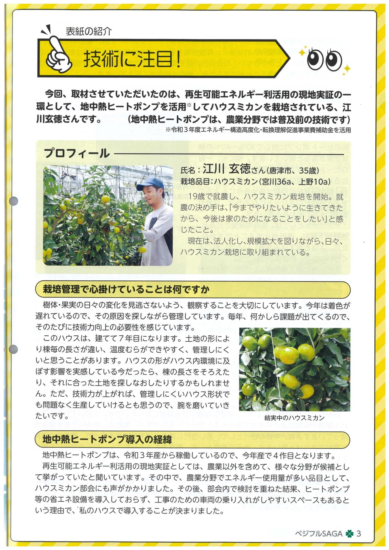 JAさがグループの野菜と果樹の技術に関する情報誌「ベジフルSAGA