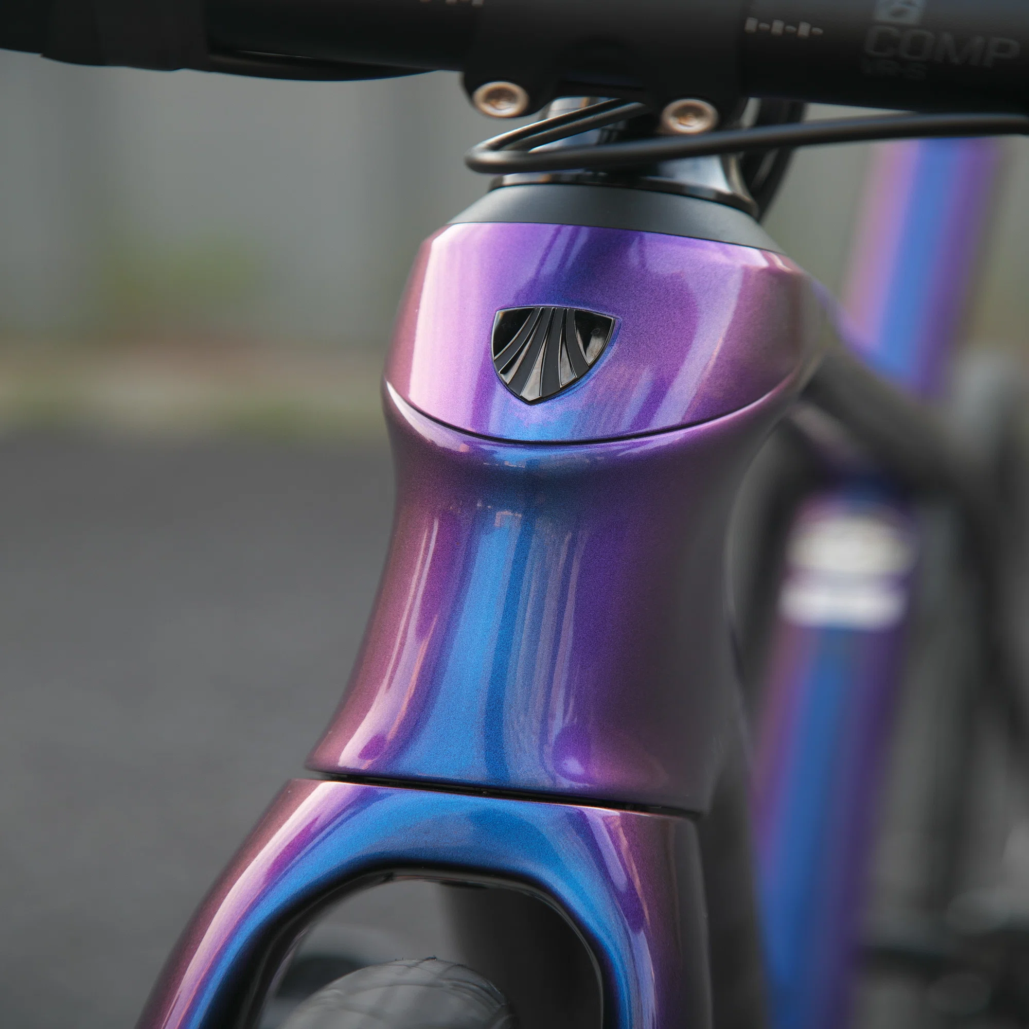 TREK Domane SL5 2020 パープルフリップを購入した話｜surround