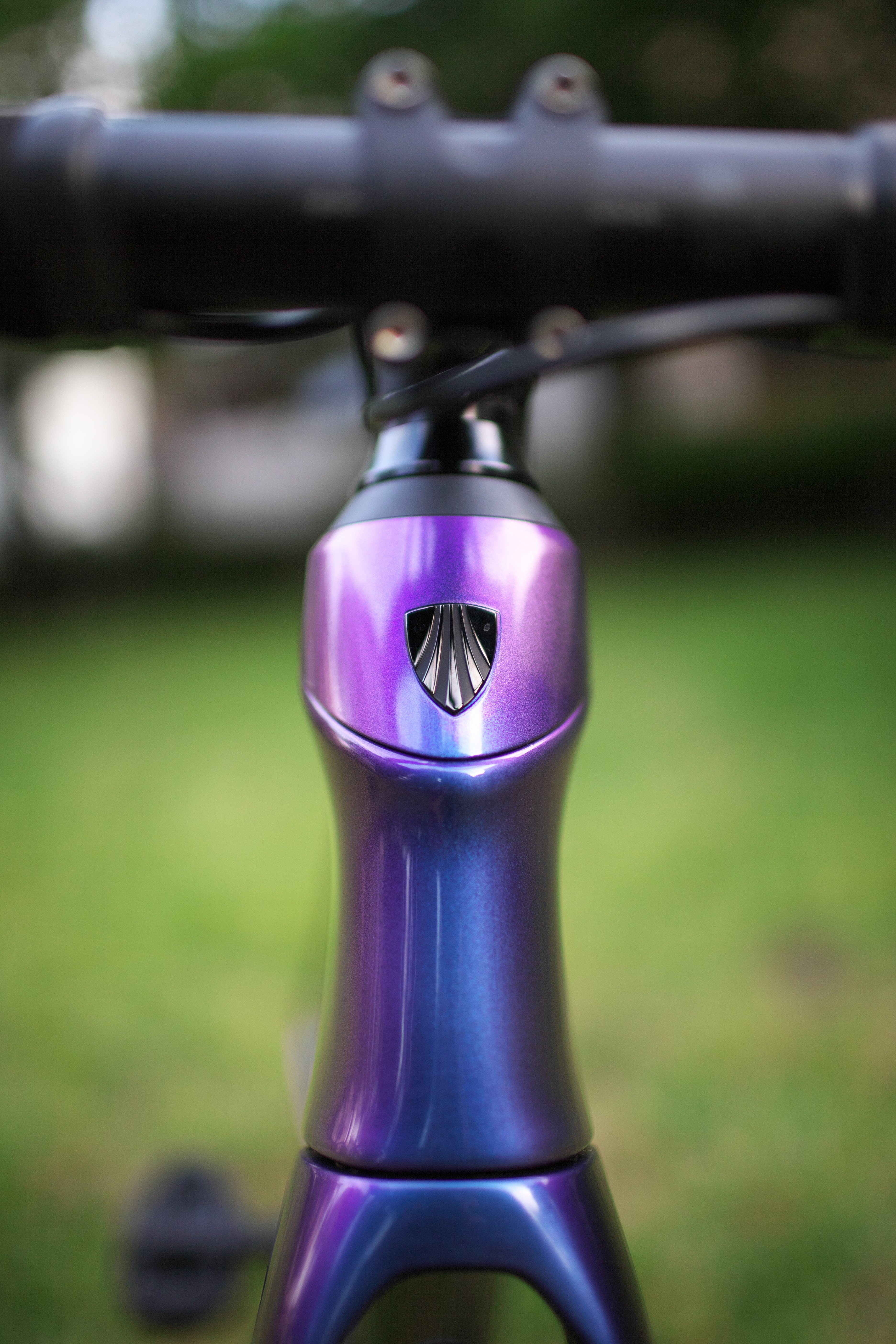 TREK Domane SL5 2020 パープルフリップを購入した話｜surround