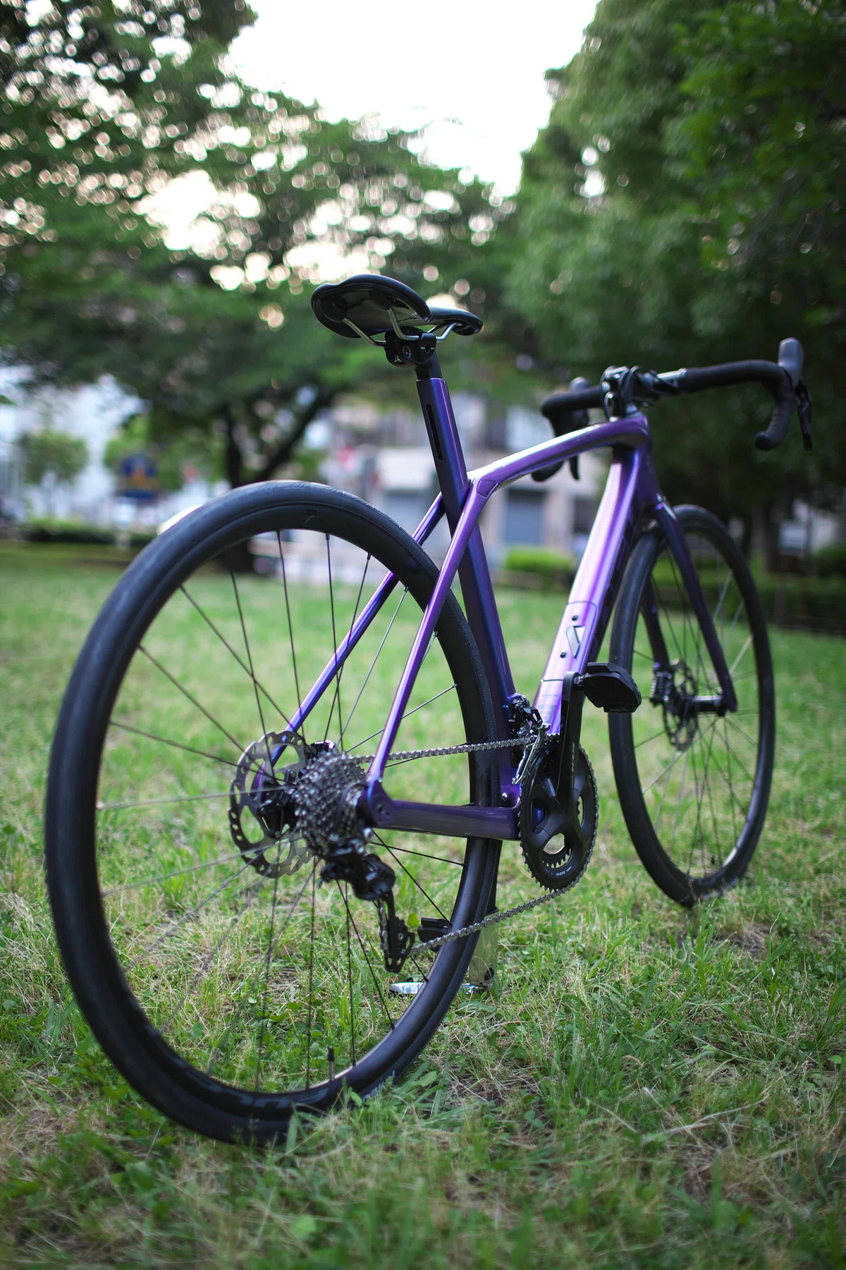 TREK DOMANE SL 50サイズ フレームセット 【2020年モデル・パープル 