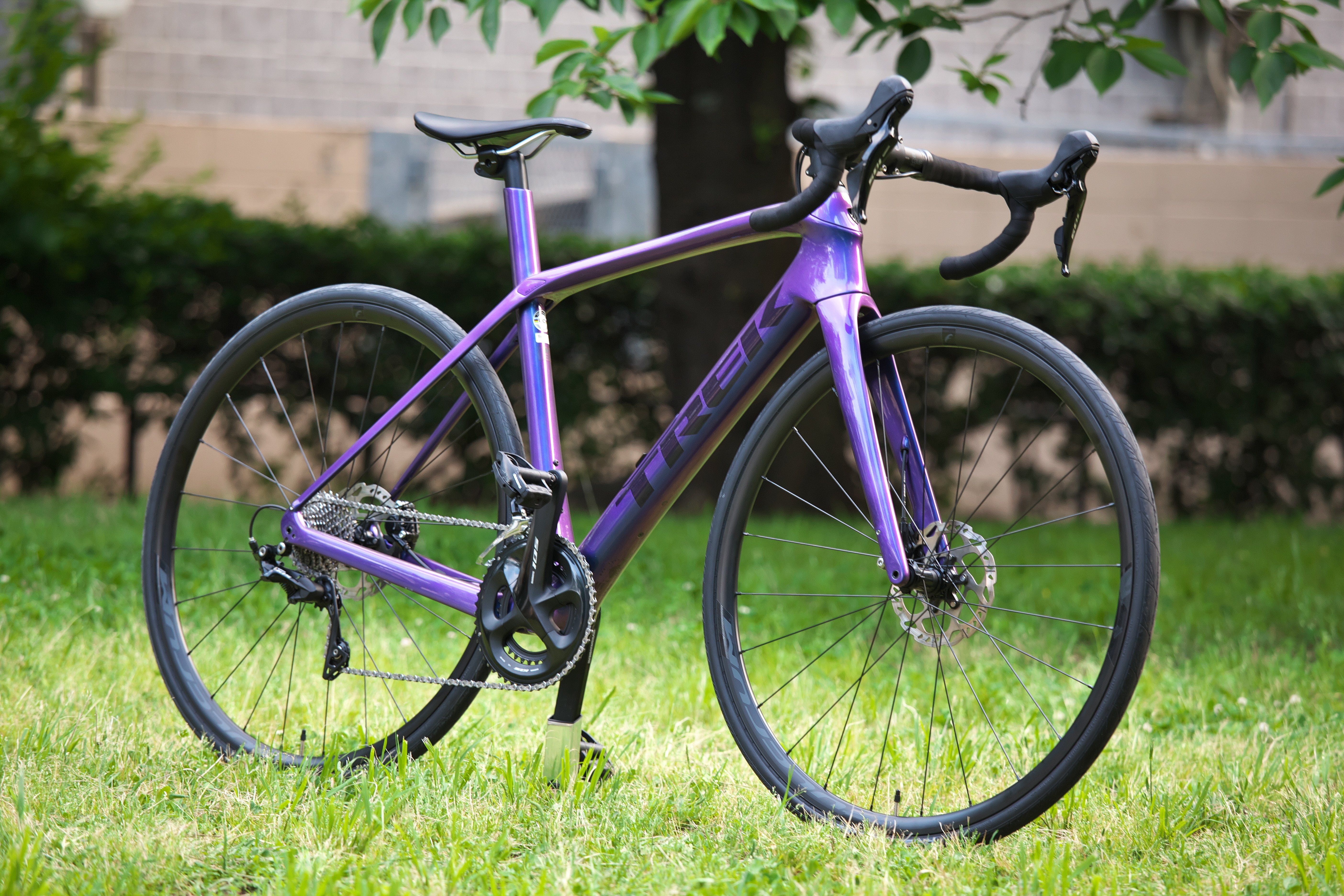 TREK Domane SL5 2020 パープルフリップを購入した話｜surround