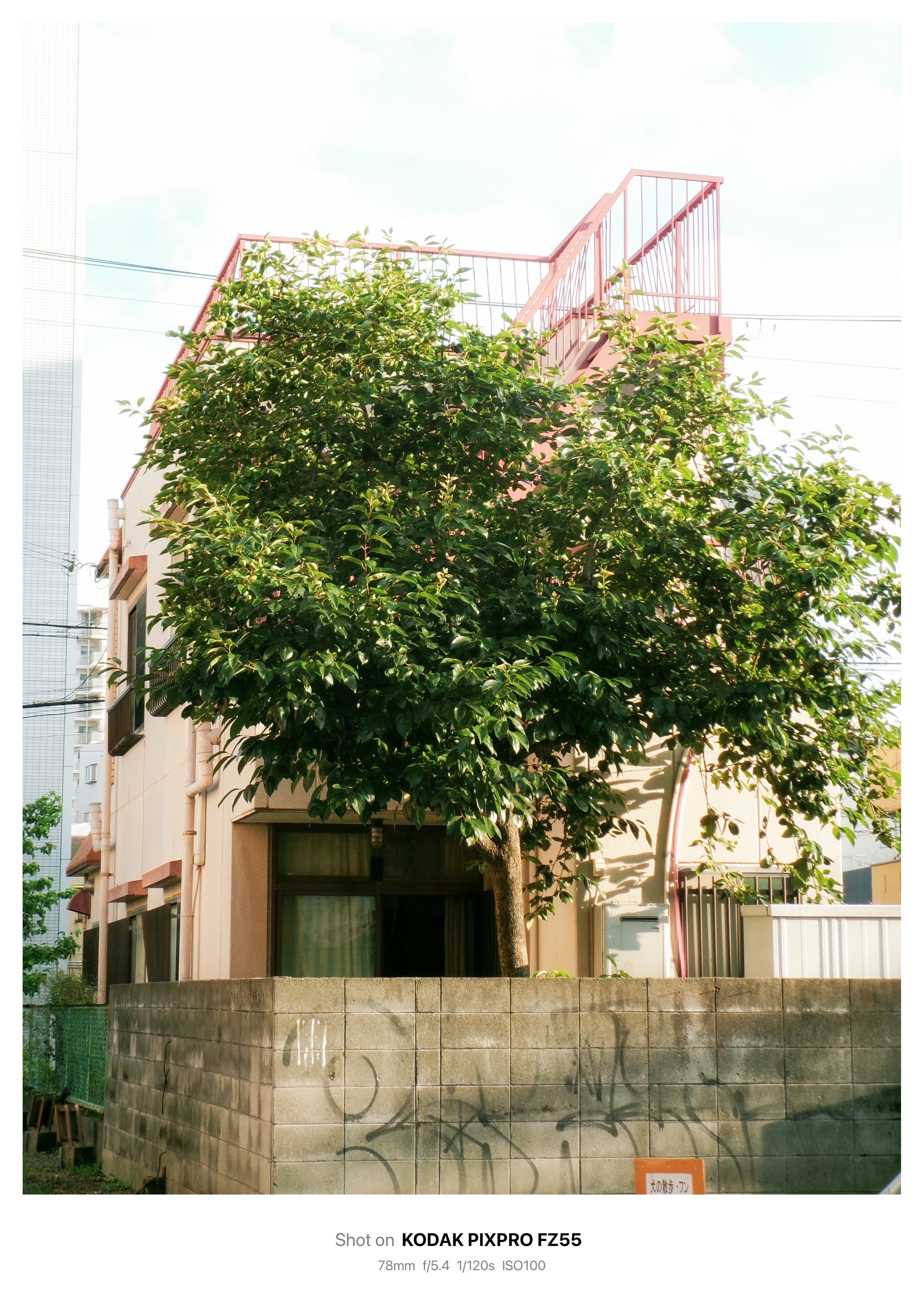 Photo Diary #5 -FZ55作例-｜唯野みりん