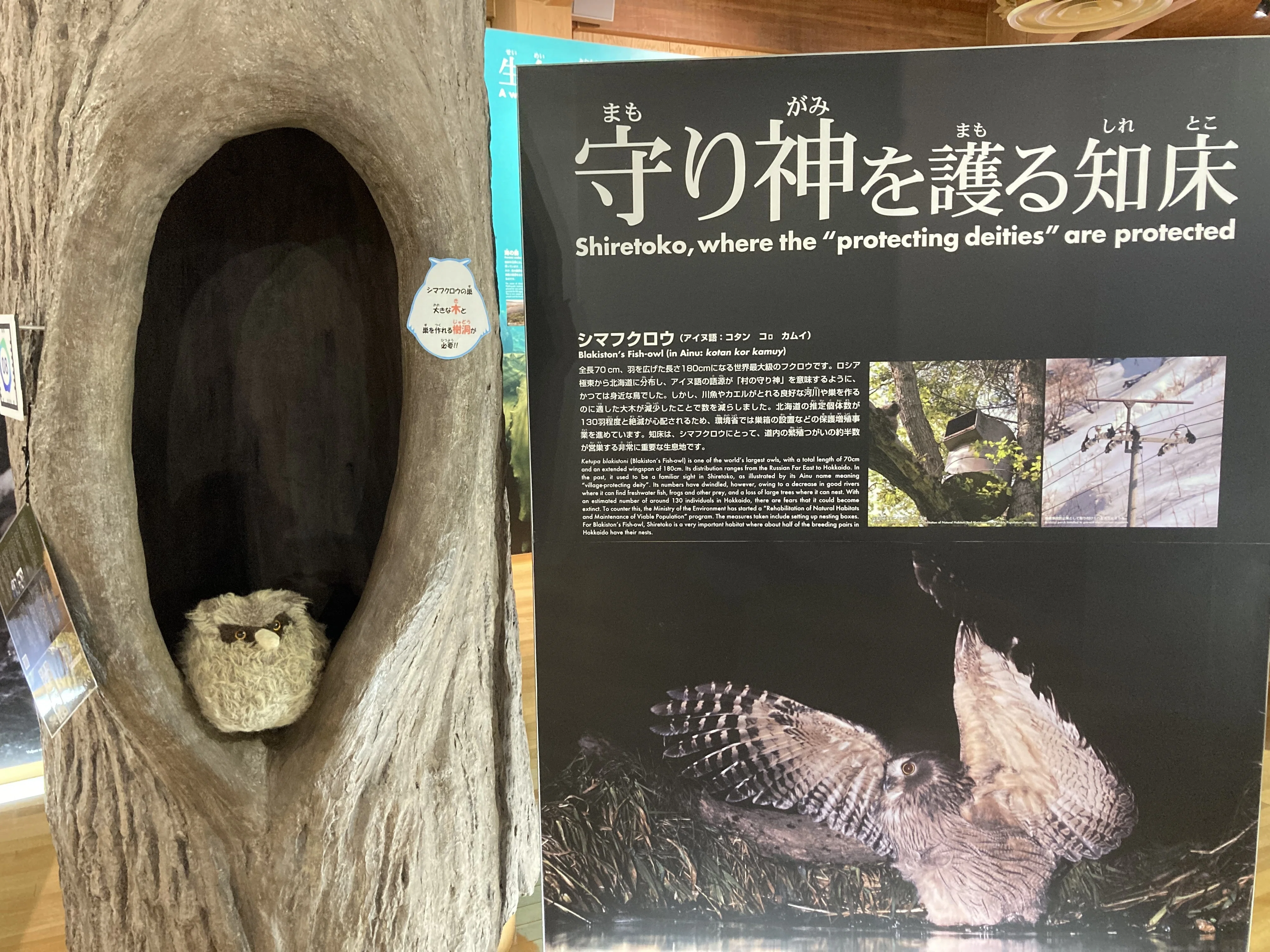 北海道/知床 ローカルカルチャーブック 北海道/知床 ローカル
