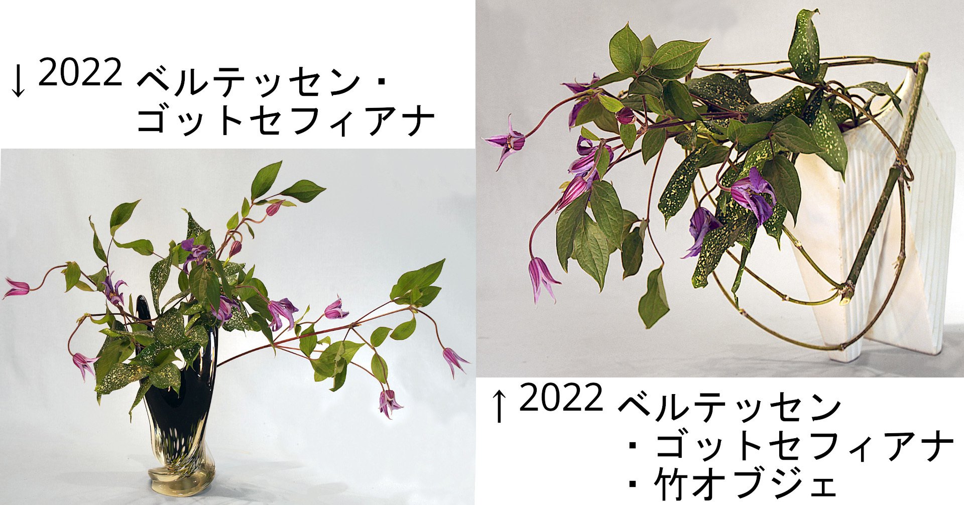 いけばな歳時記 テッセン(クレマチス)｜広瀬典丈