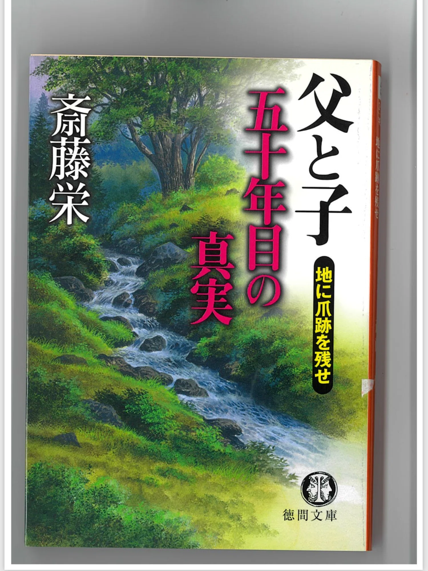 ミステリー作家の斎藤栄先生が逝く|野猿(やえん) ミステリー作家の斎藤栄先生が逝く|野猿(やえん)