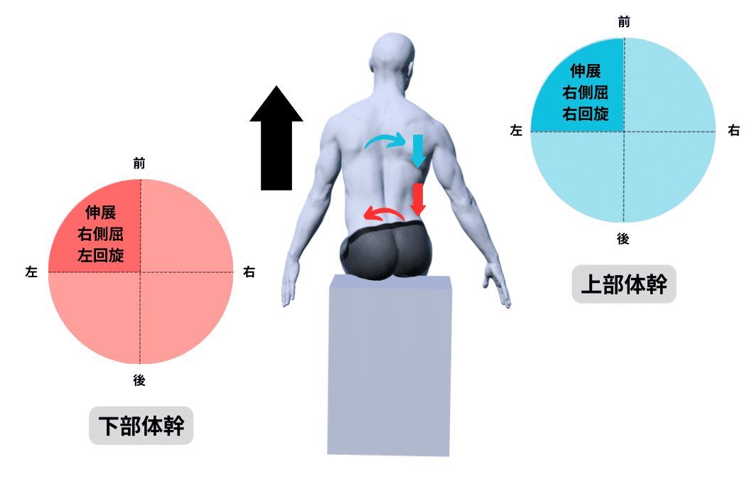 完全版】関節の構成運動と運動連鎖の臨床応用｜理学療法士による臨床の