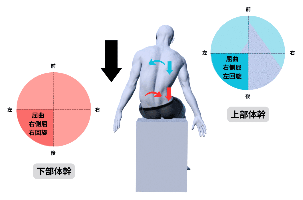 完全版】関節の構成運動と運動連鎖の臨床応用｜理学療法士による臨床の