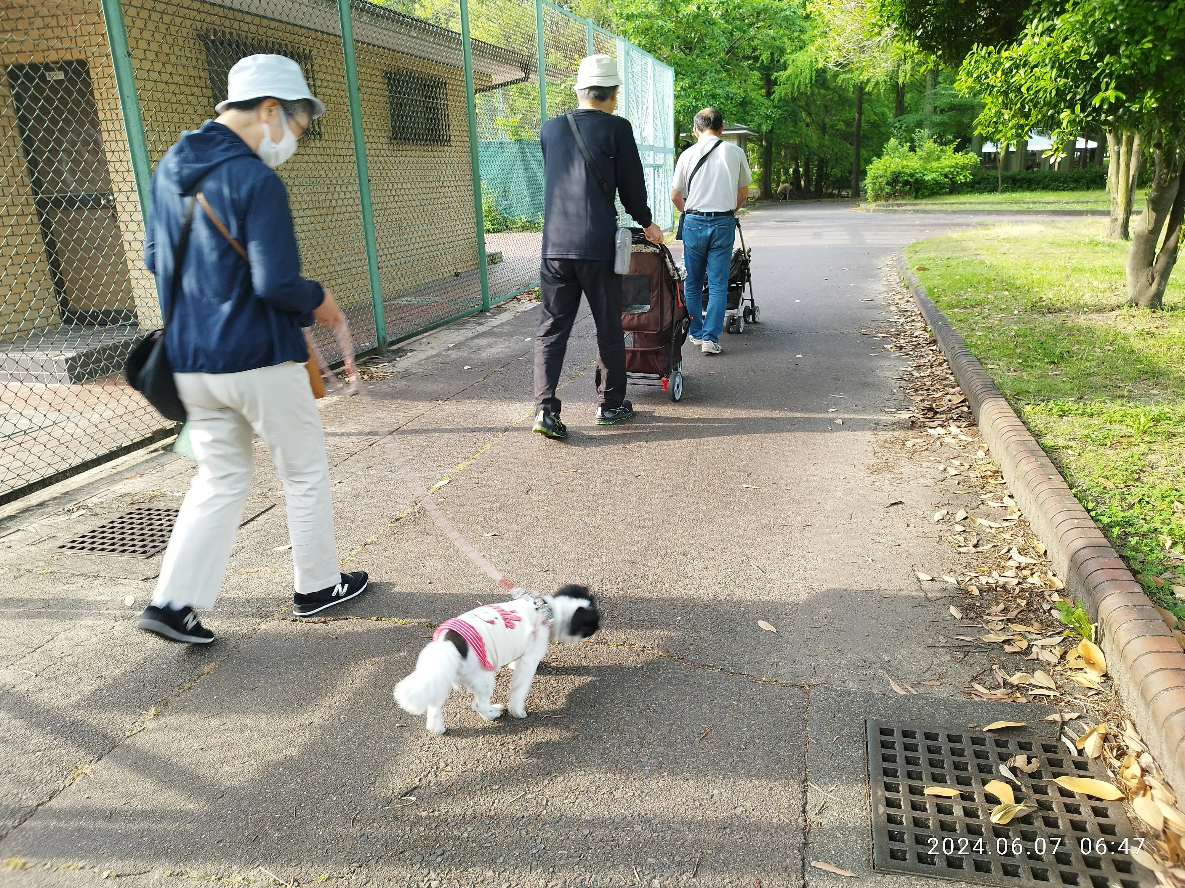 朝の公園、シニア達、ペットの犬、警察｜オーヤン（OuYang）