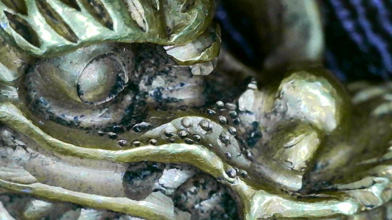 古美濃の龍目貫を見て気づいた特徴②｜刀箱師の日本刀ブログ 中村圭佑