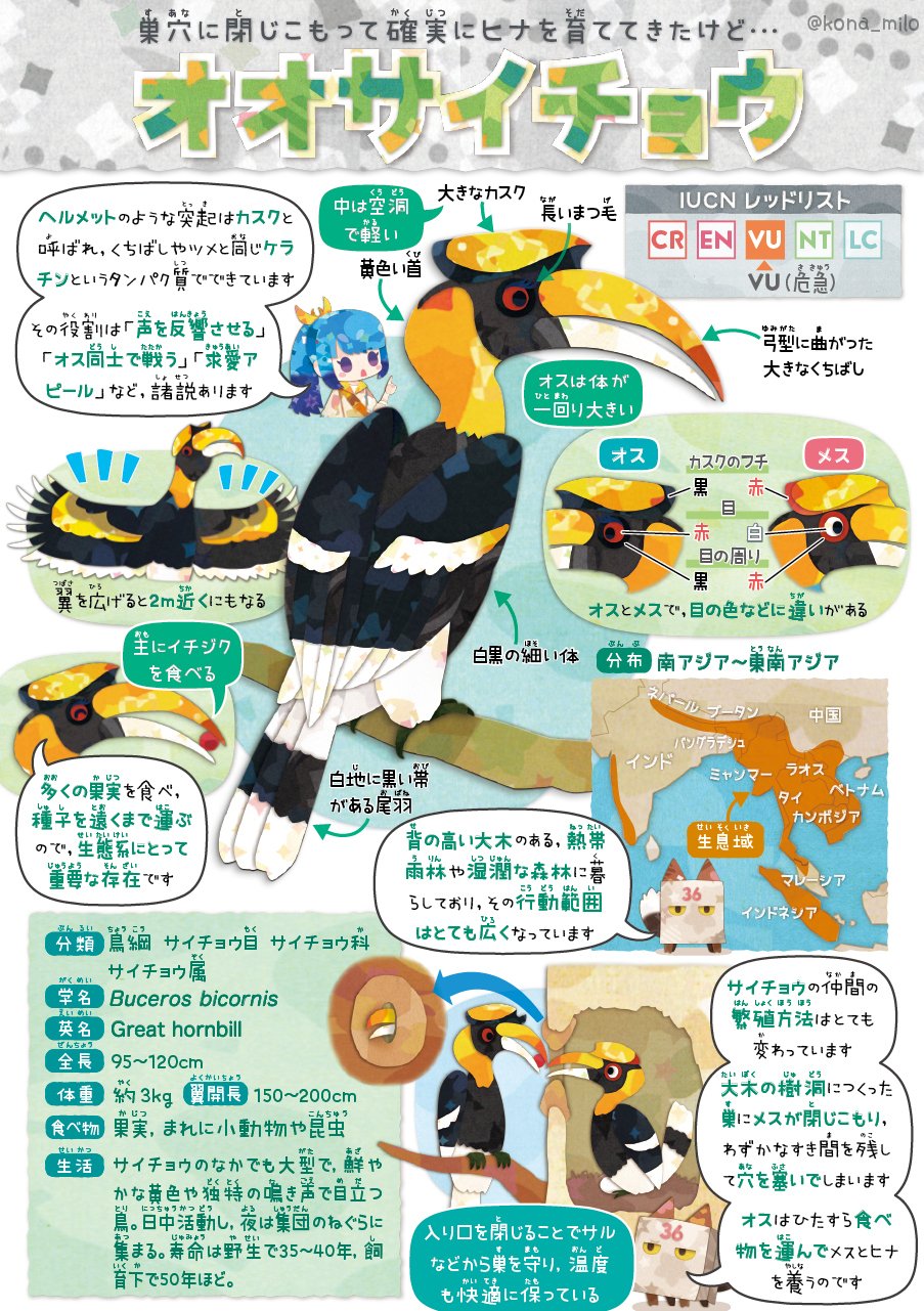 サイとガチョウがななくなったら…(サイン入り！レア‼️) 状態A-〕リザードンEX(未開封)【P】{276/XY-P}