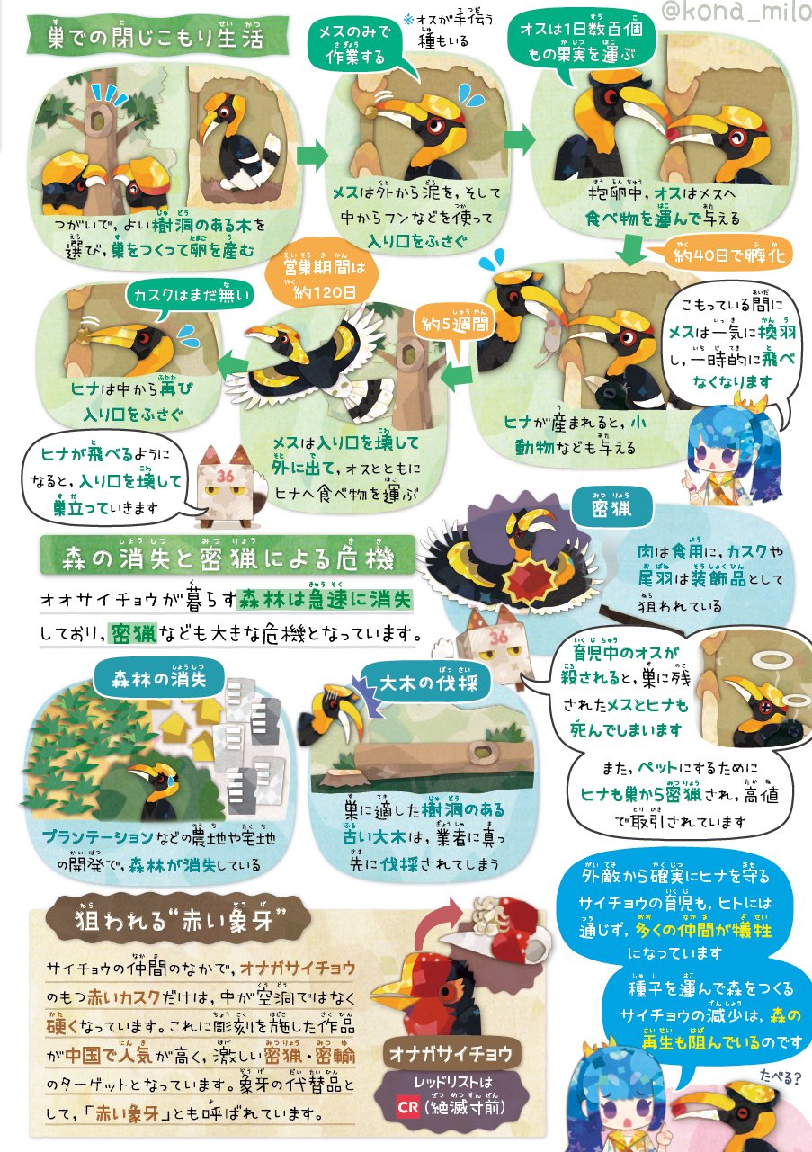 サイとガチョウがななくなったら…(サイン入り！レア‼️) 状態A-〕リザードンEX(未開封)【P】{276/XY-P}