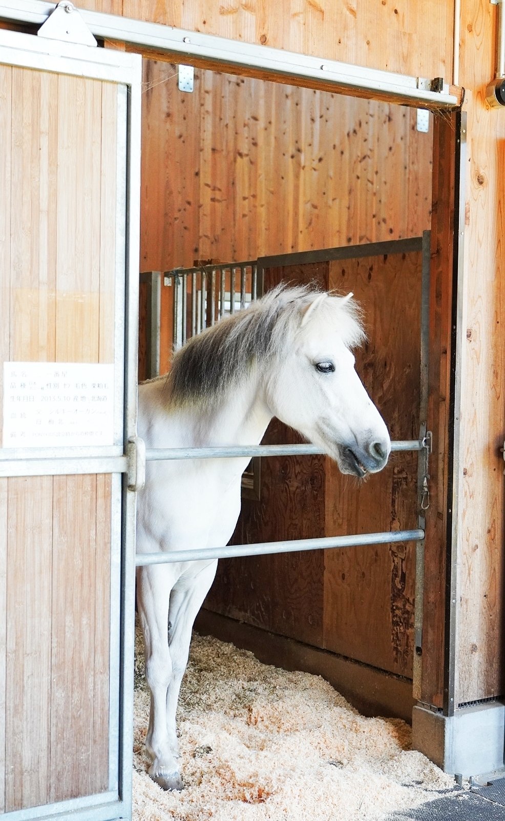 お馬さん お馬さん (@Ouma_san_X) / Posts / X