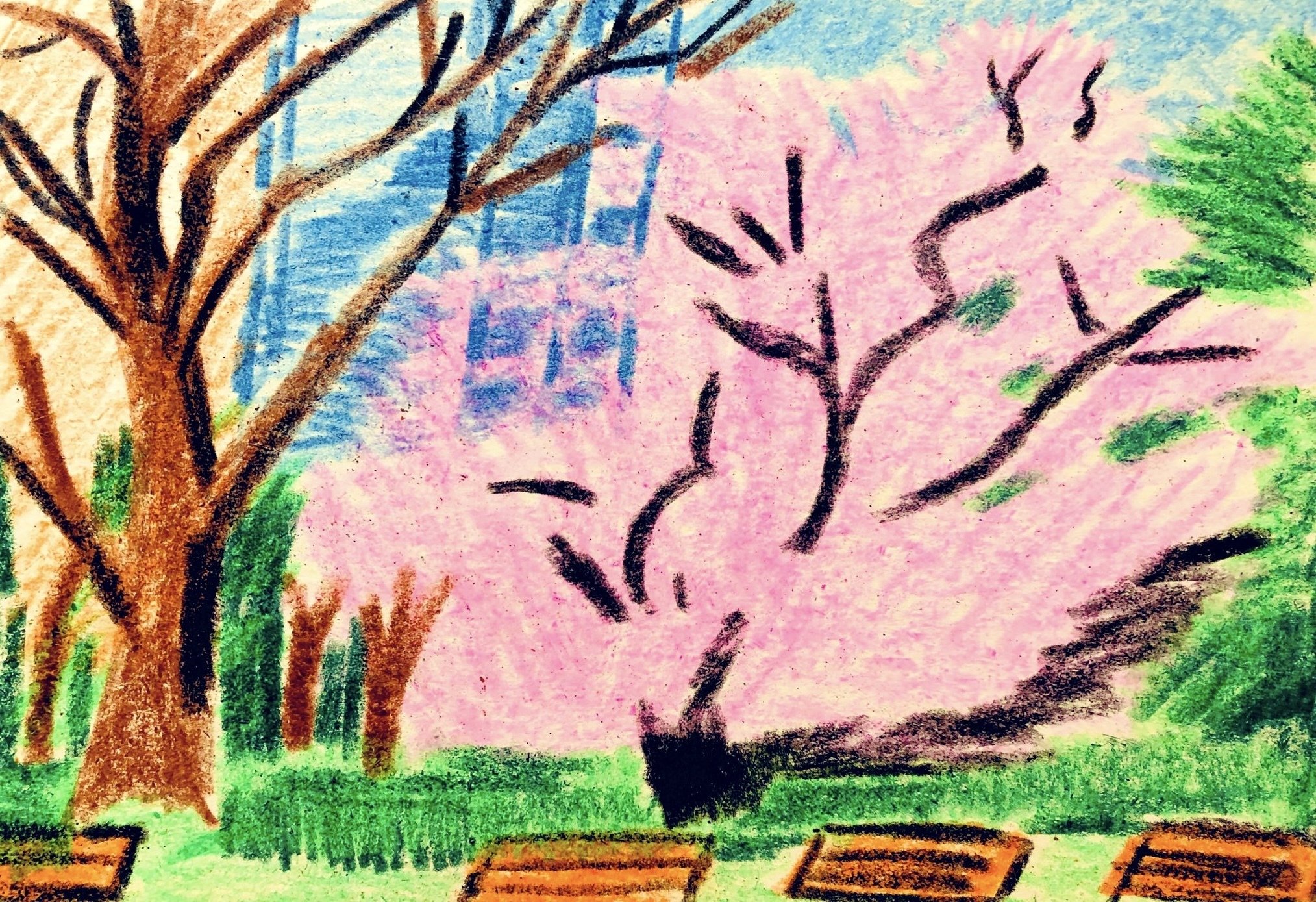 クレヨン画・日比谷公園の桜｜空想だいあぱ案内人kuramaippei