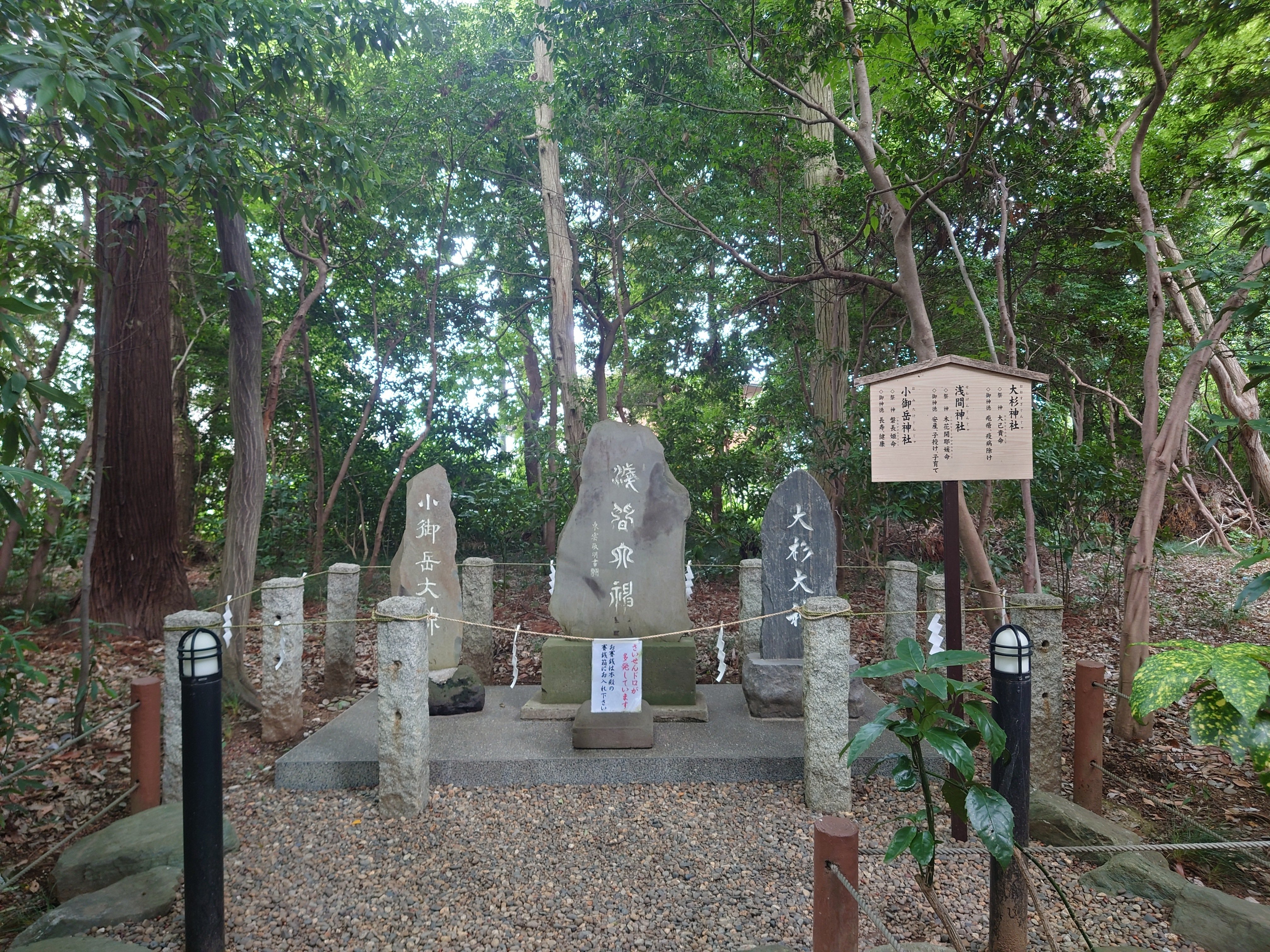 櫻木神社⛩️｜セリ ／龍神様との日常