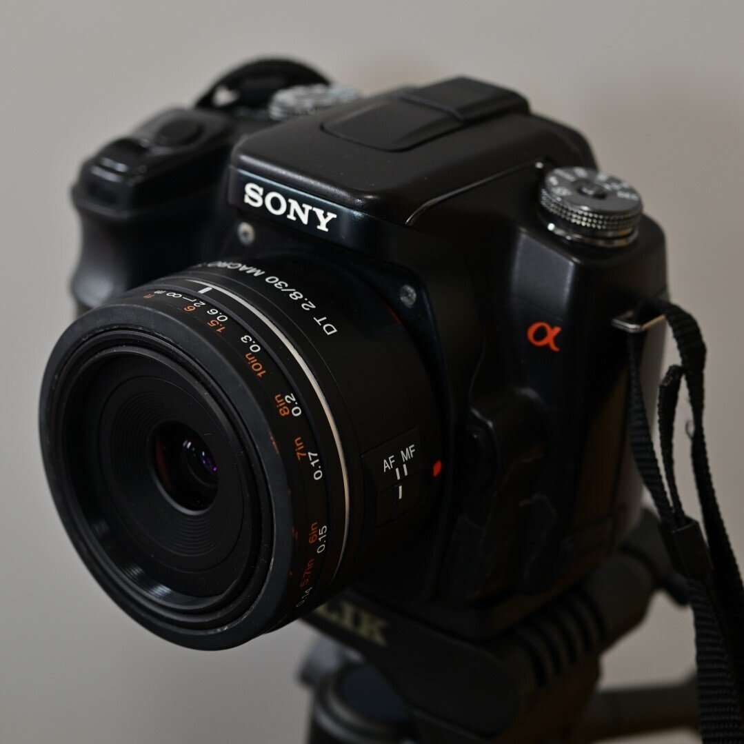 思い出のSONY α100を、他のカメラと比べてみたよ｜Morihiro Matsushiro 