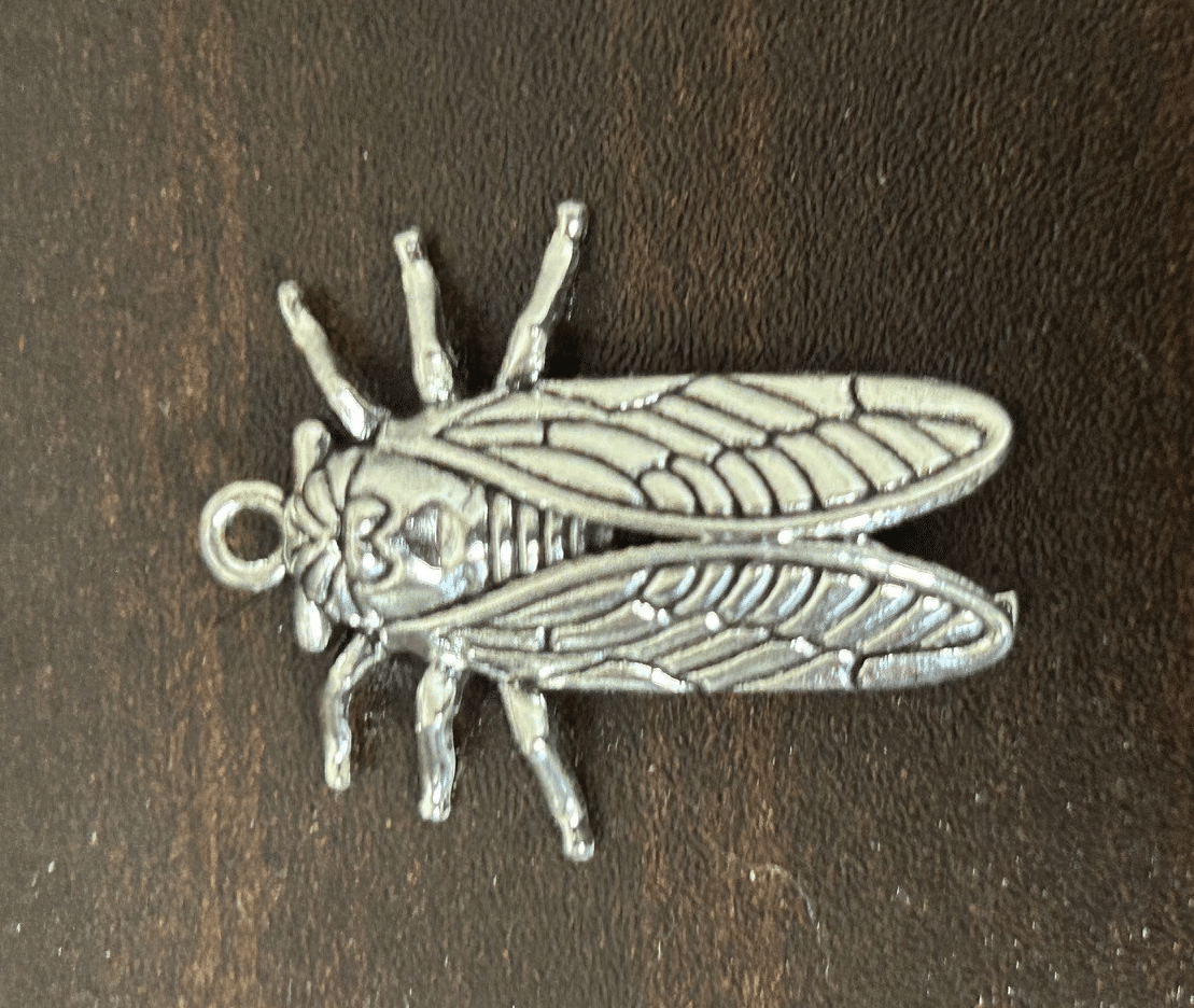 セミページ チッチゼミ｜INSECT.Minoh.City