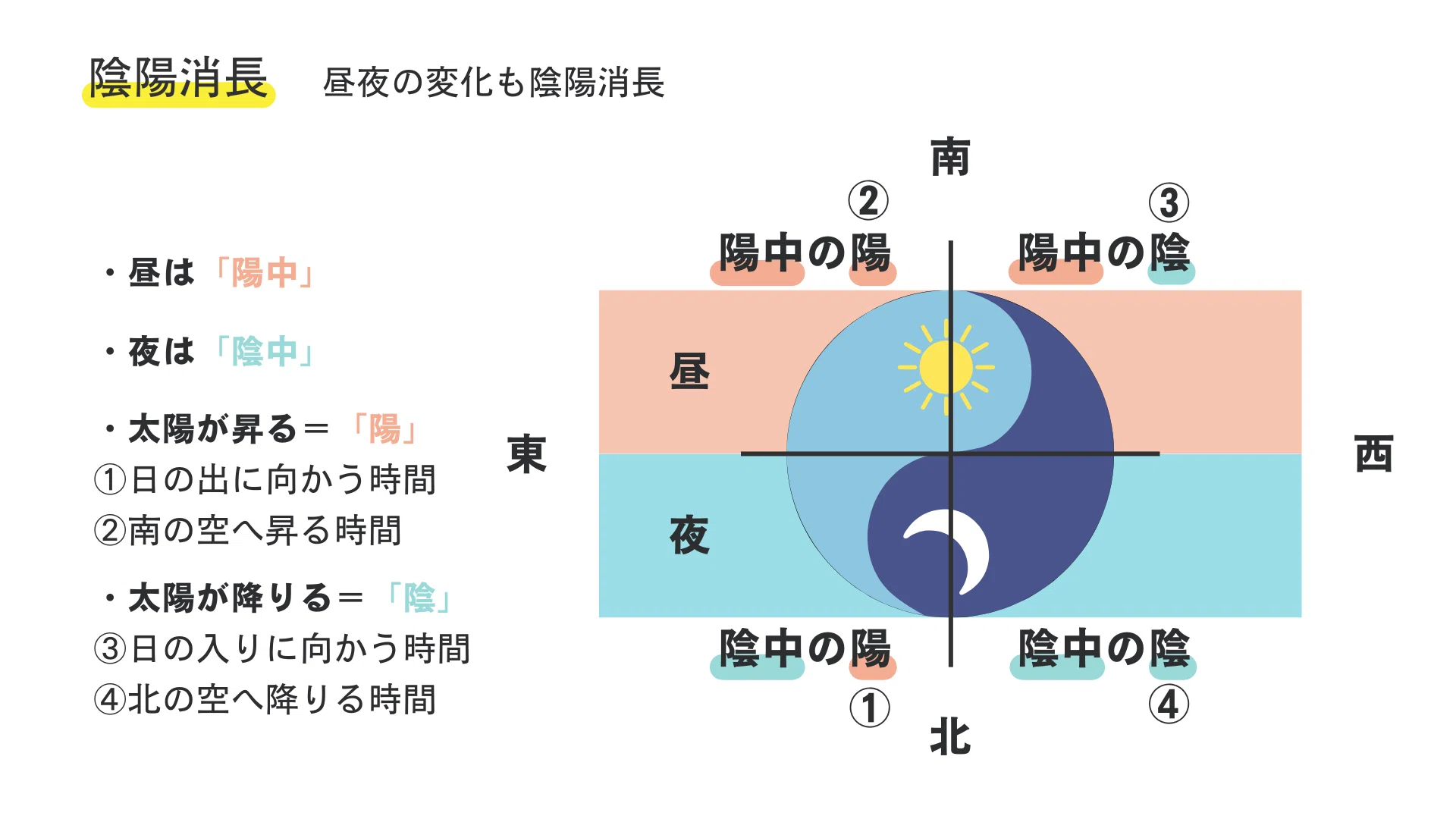 【中医基礎理論 第23講】 - 陰陽学説 陰陽消長 – 四季も昼夜も陰陽消長 - 鍼灸cafe