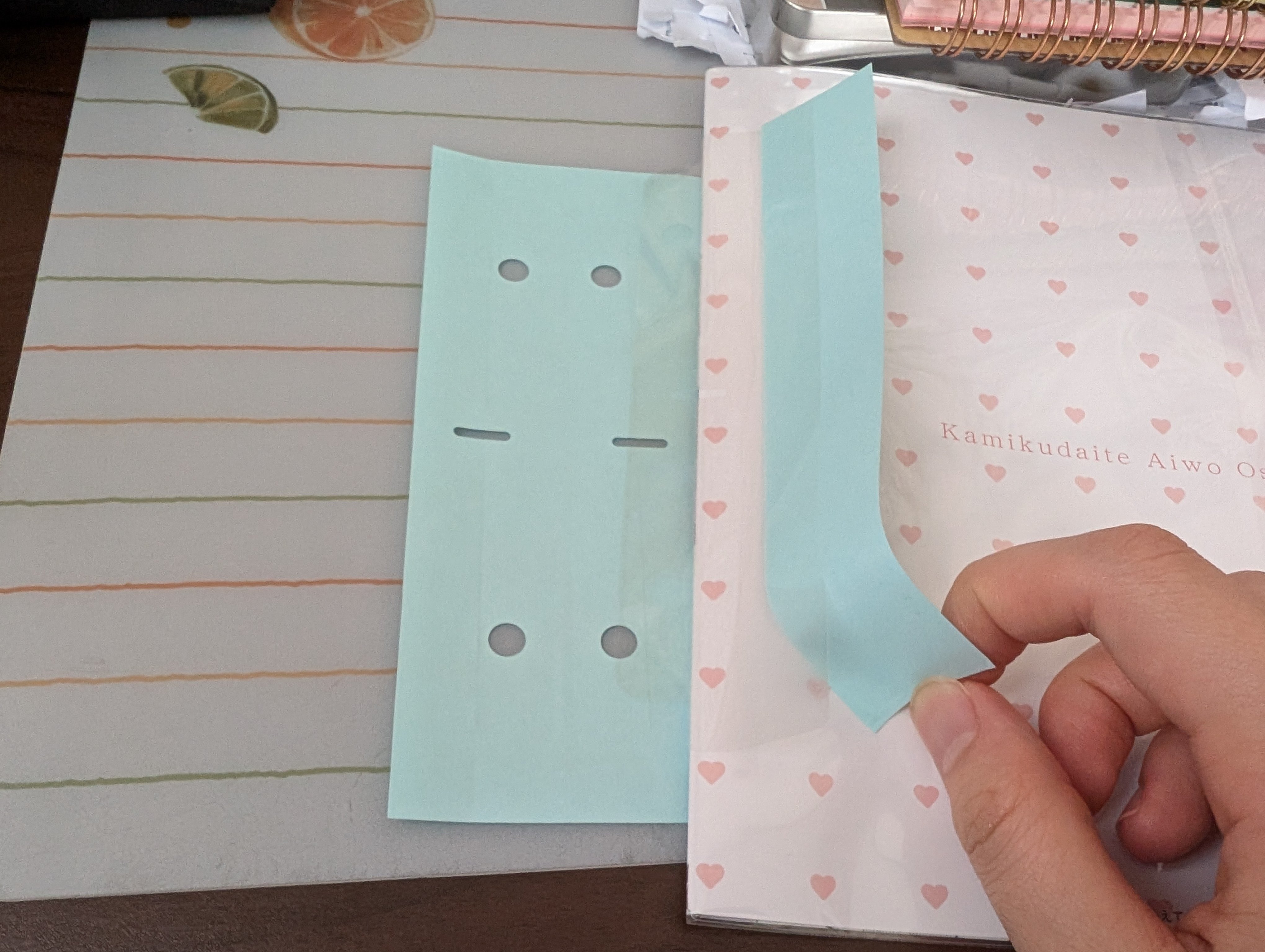 コミック特典4Pリーフレットの収納方法｜田舎暮らしのオタク日記