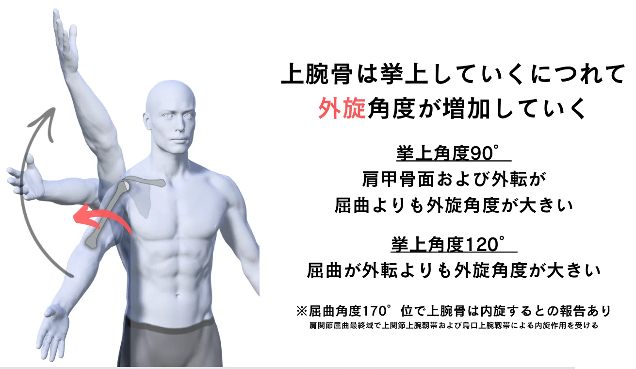 挙 上 と は