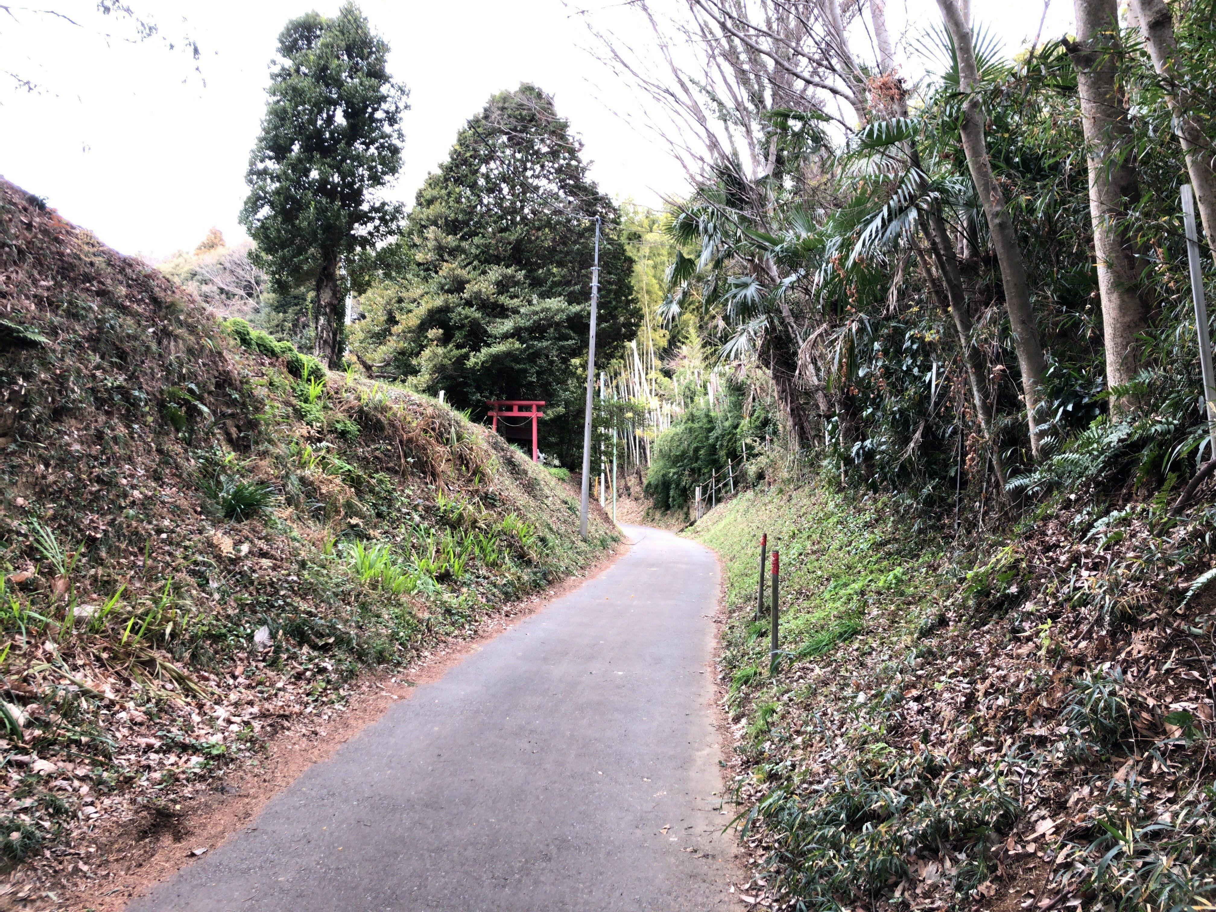 小野路宿 鶴見川遺跡紀行（25）｜とぅーむゅらす
