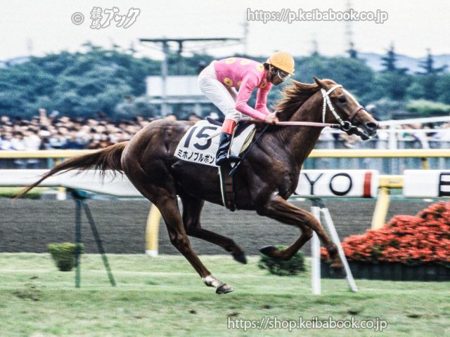 ウマ娘が好きだ 競馬が好きだ』｜競馬ブック