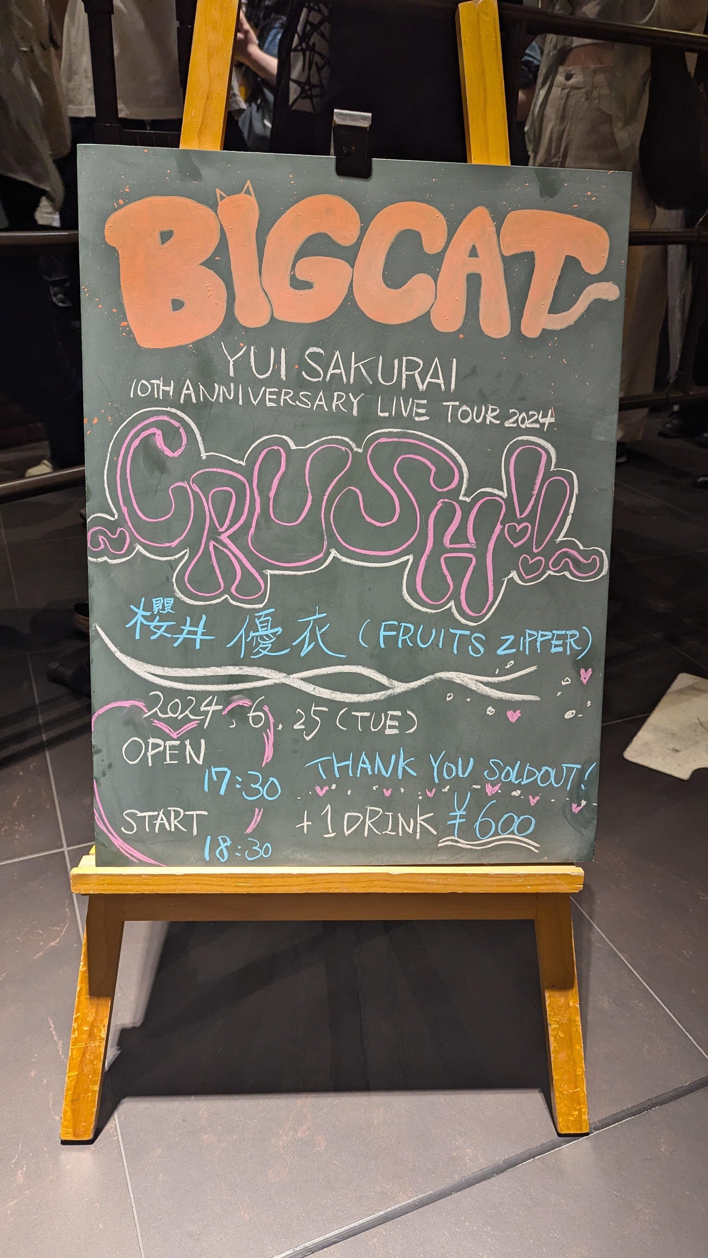 ライブ観戦記】櫻井優衣10th ANNIVERSARY LIVE TOUR 2024〜CRUSH