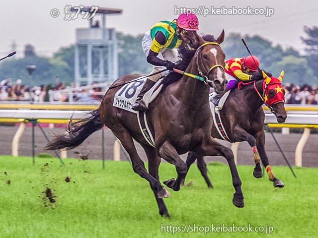 ウマ娘が好きだ 競馬が好きだ』｜競馬ブック
