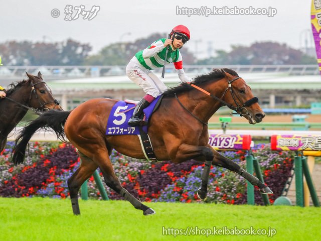 ウマ娘が好きだ 競馬が好きだ』｜競馬ブック