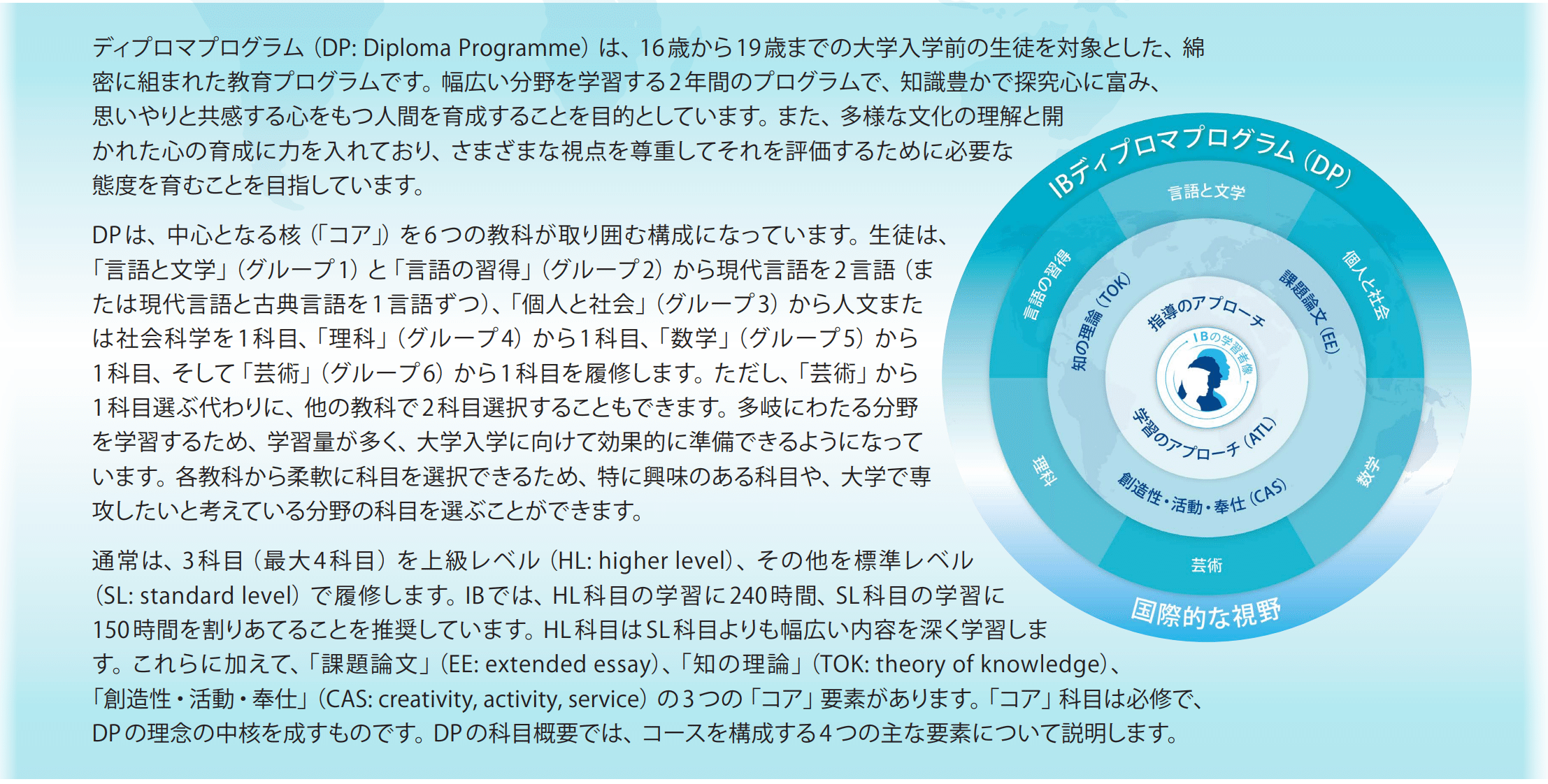 IB(国際バカロレア）の学校を選ぶ上で確認するべき4つのポイント