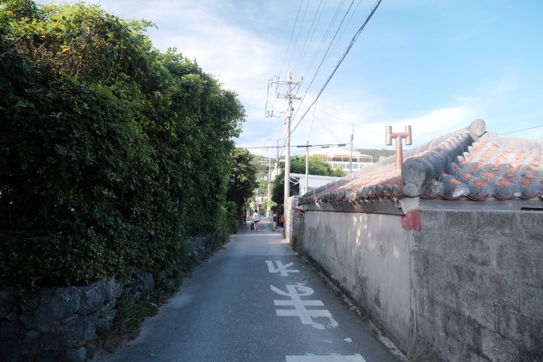 座間味村史　上中下　カバー入り　初版 座間味村：阿嘉島後原海岸 | 露頭をさがす | 岩石鉱物図鑑 | 沖縄県立