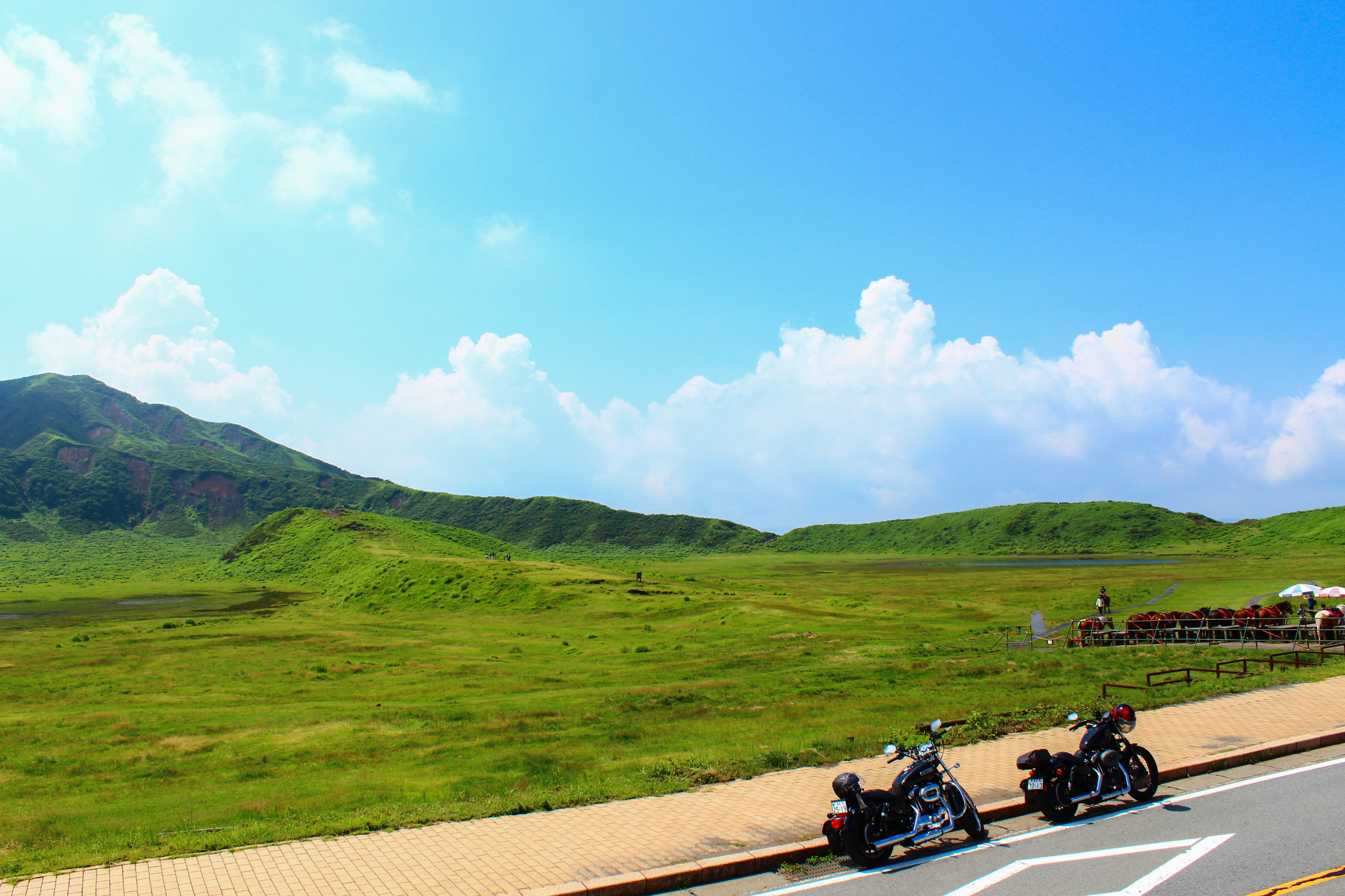 ChatGPTを写真レタッチスキル向上に活用する｜すりりんご